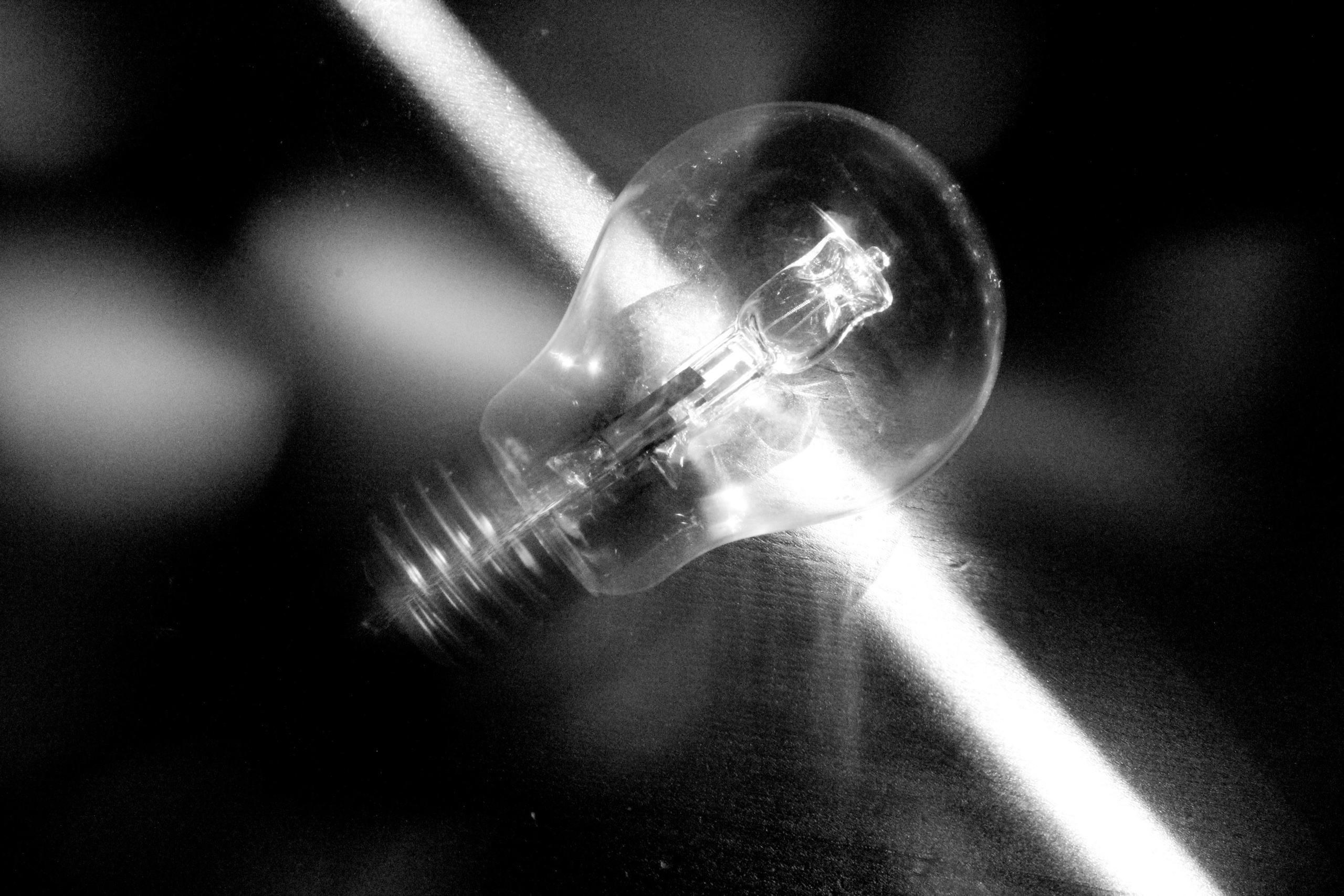 Работы студентов. Начальный уровень (1 и 2 ступень) . "Основы фото-мастерства". Максим Матвийченко и Виктория Басова профессионалы своего дела