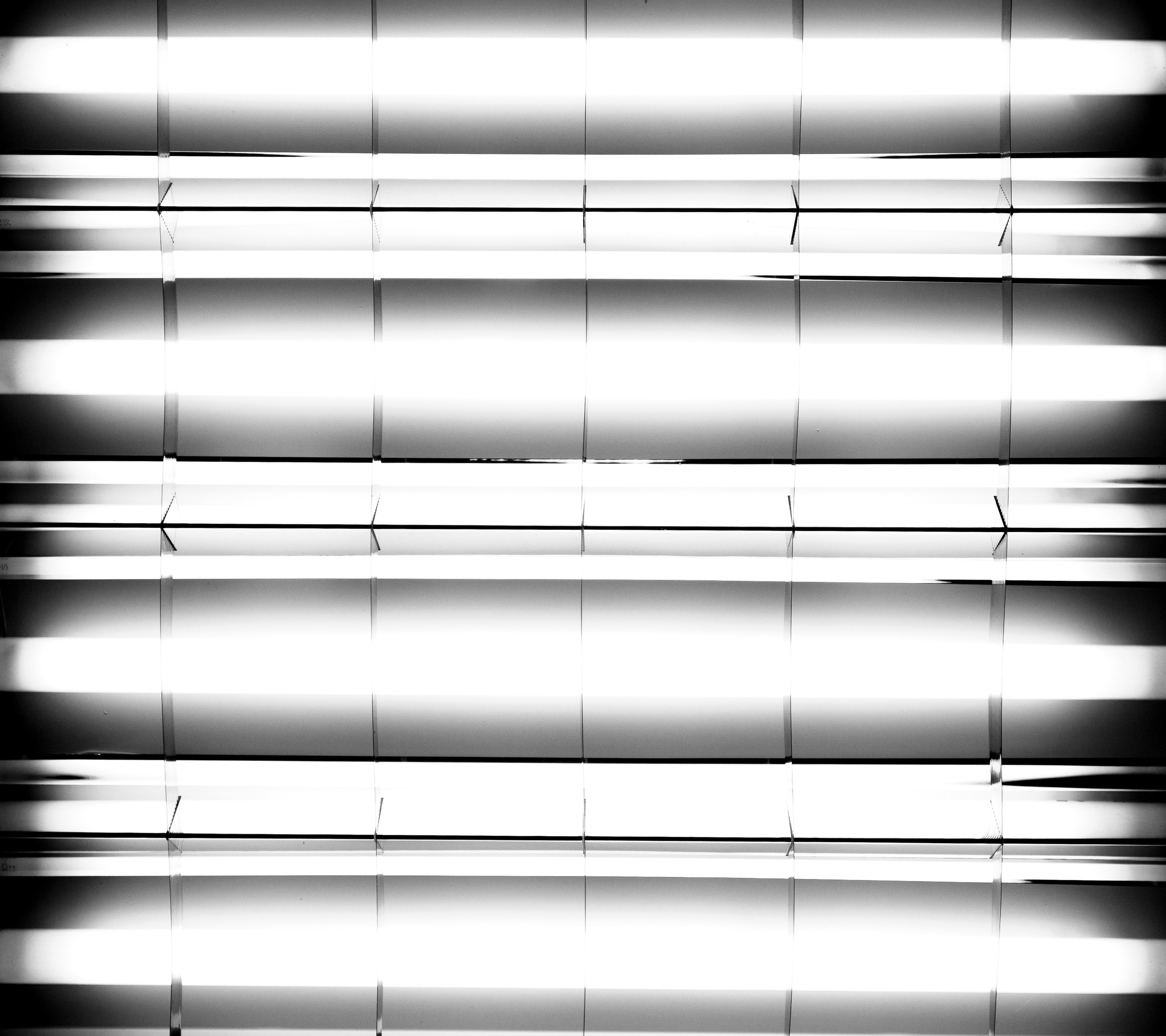 Работы студентов. Начальный уровень (1 и 2 ступень) . "Основы фото-мастерства". Максим Матвийченко и Виктория Басова профессионалы своего дела