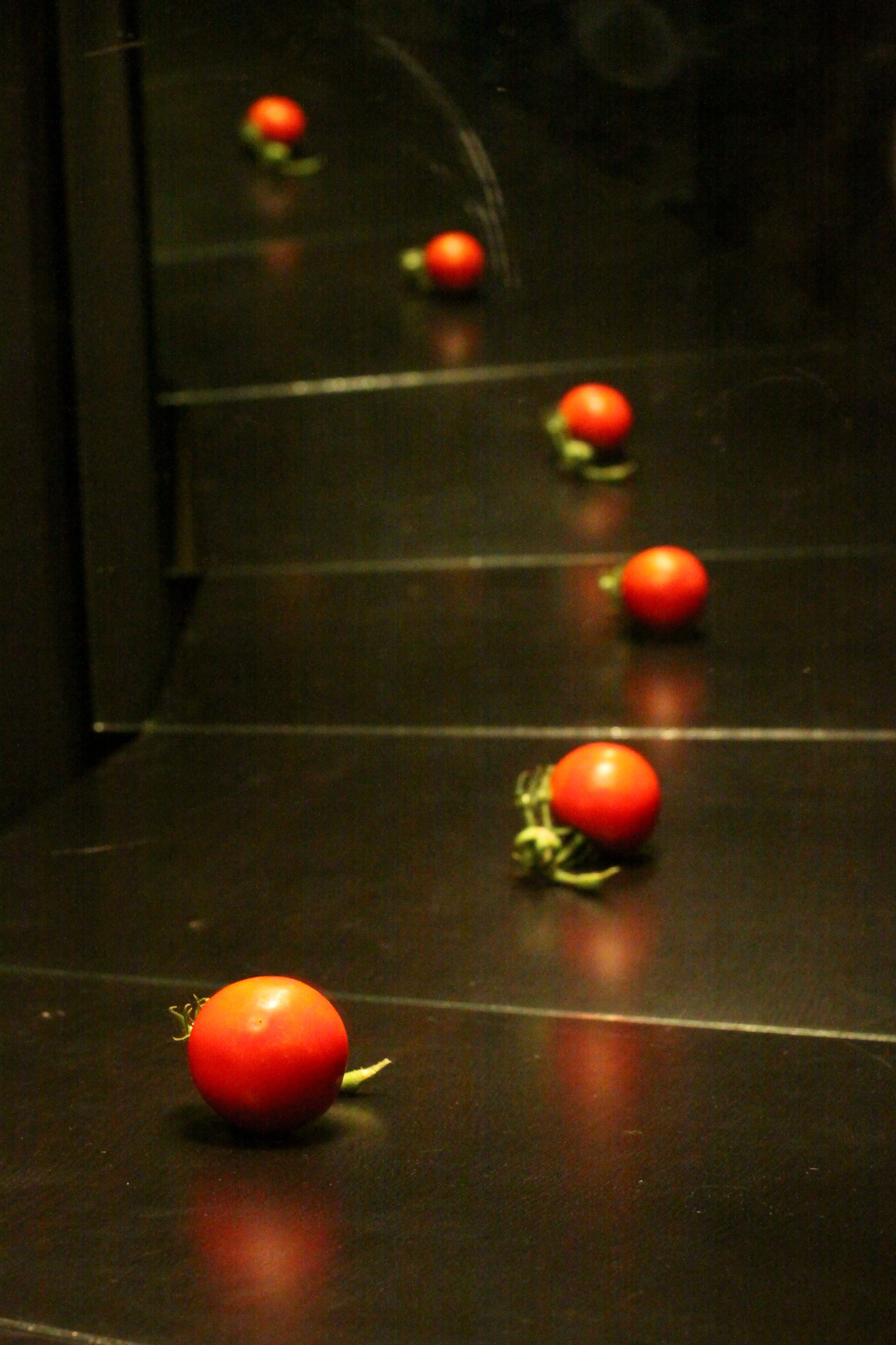 Работы студентов. Начальный уровень (1 и 2 ступень) . "Основы фото-мастерства". Максим Матвийченко и Виктория Басова профессионалы своего дела