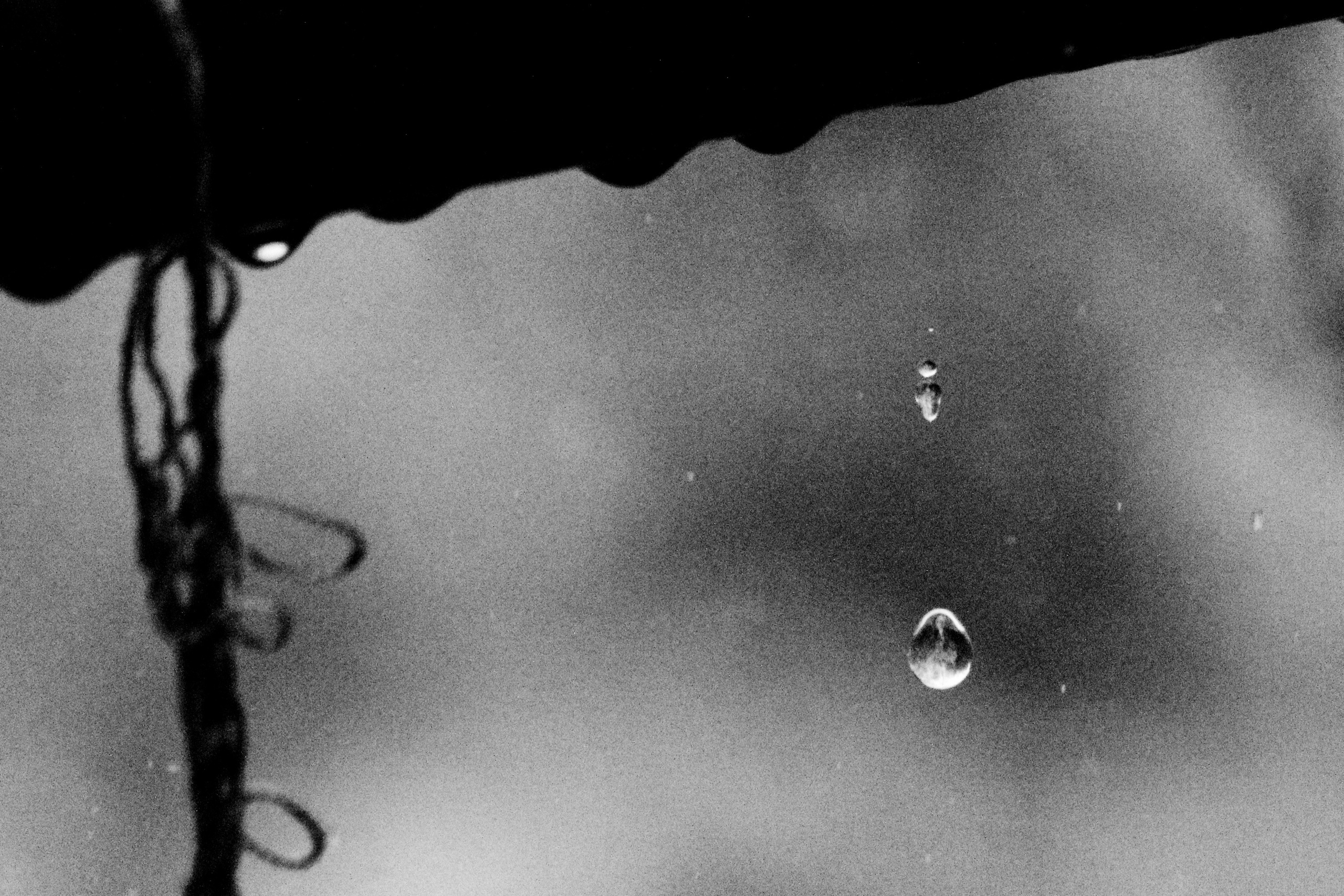 Работы студентов. Начальный уровень (1 и 2 ступень) . "Основы фото-мастерства". Максим Матвийченко и Виктория Басова профессионалы своего дела