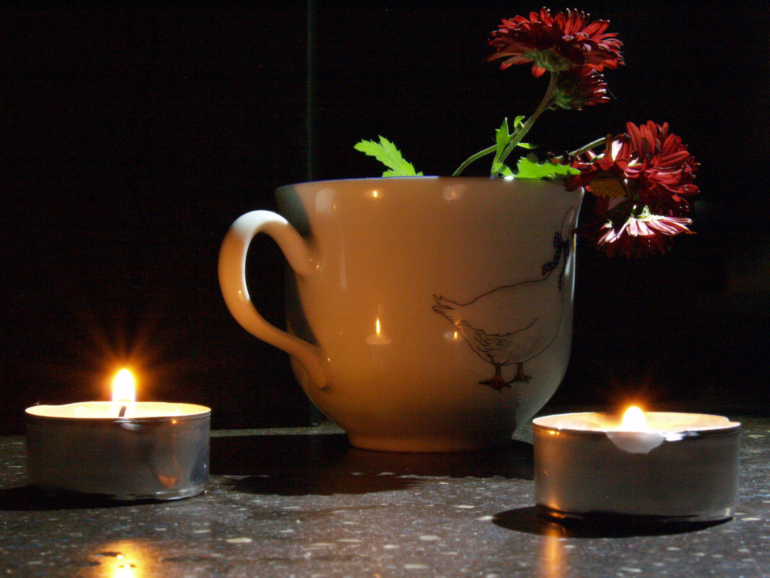 Работы студентов. Начальный уровень (1 и 2 ступень) . "Основы фото-мастерства". Максим Матвийченко и Виктория Басова профессионалы своего дела