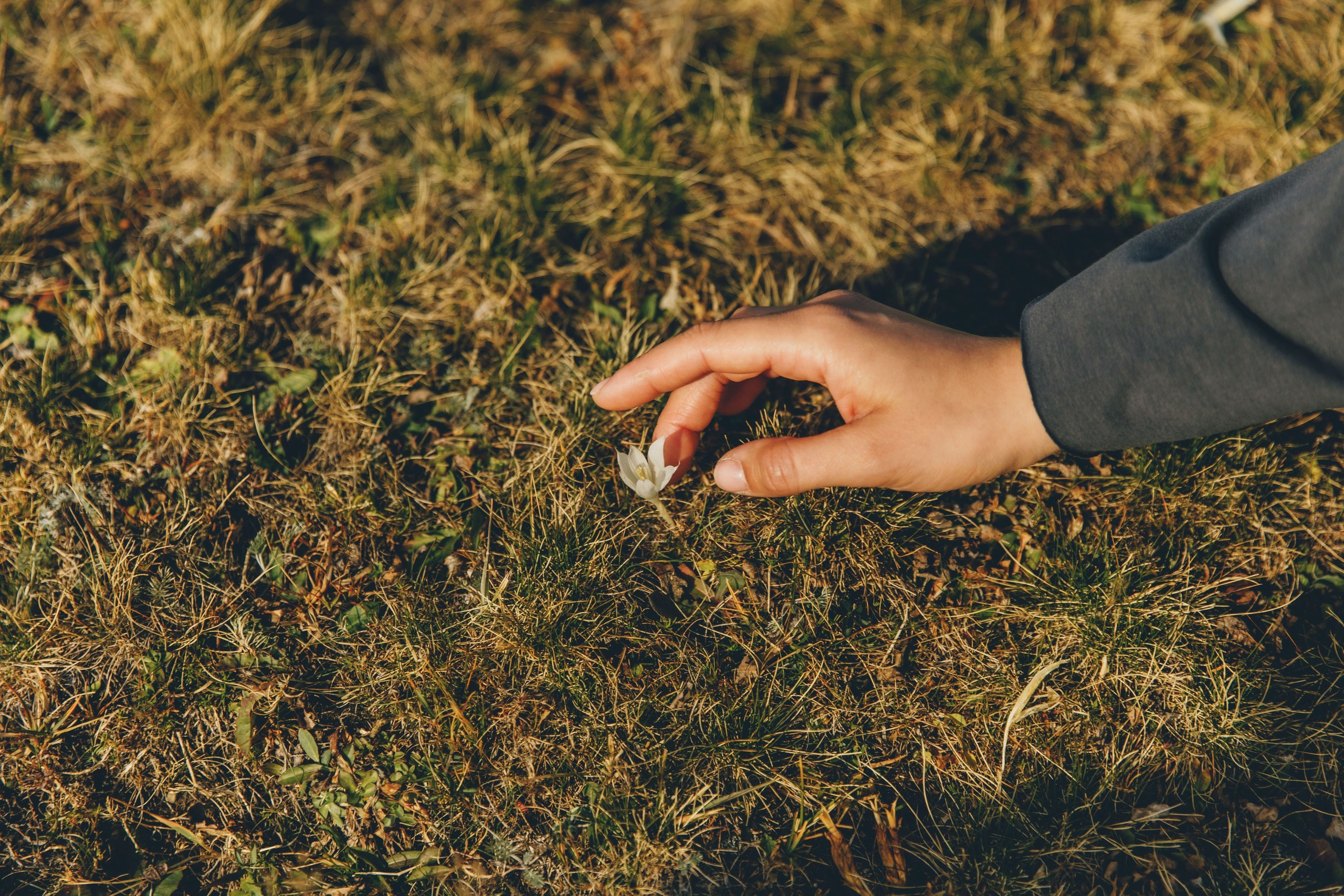 Где цветы. Семейный и ивент фотограф в Москве Мария Маликова