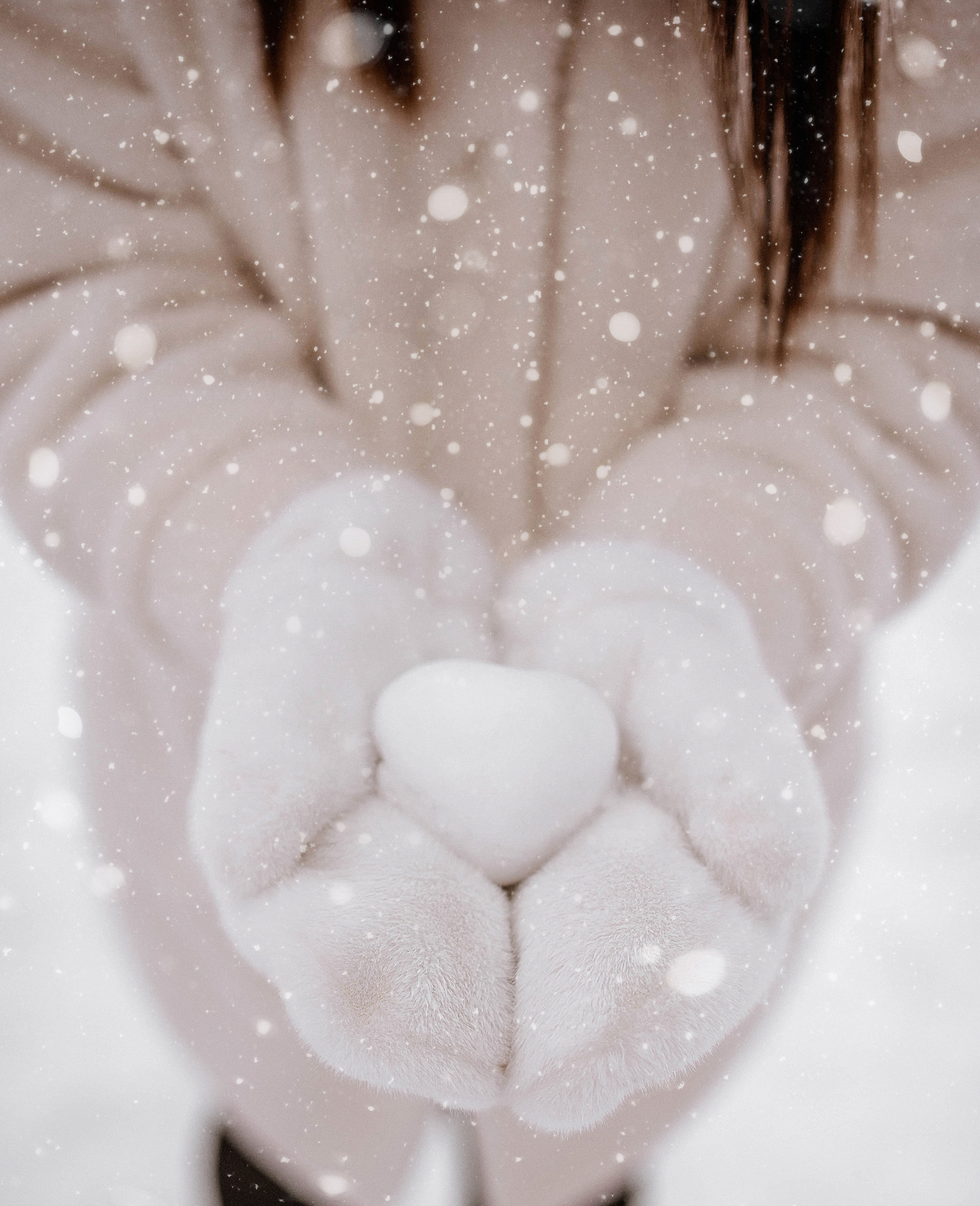 Семья. Свадебный Фотограф в Твери Анастасия Булкина