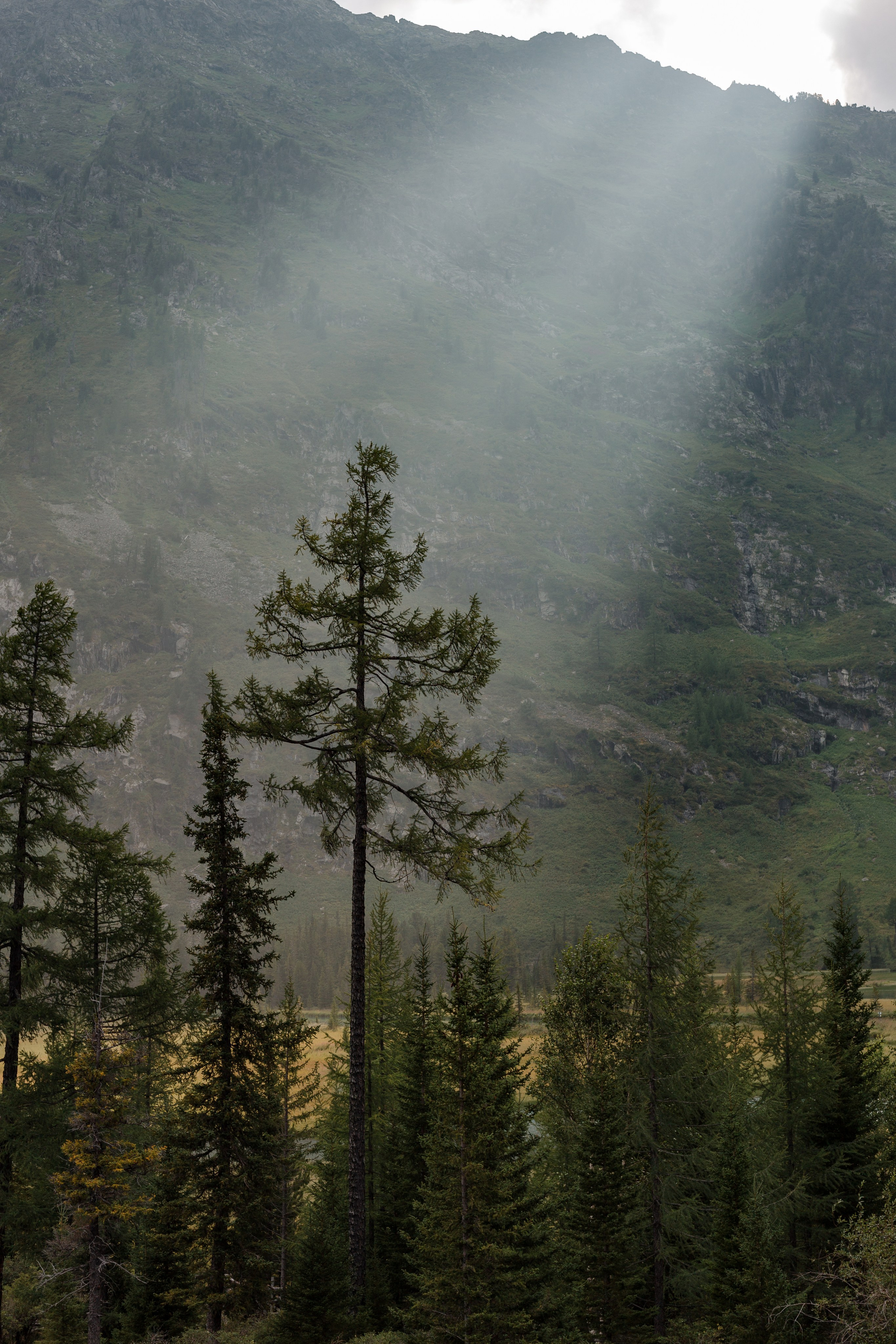 Катунский заповедник, Республика Алтай. Репортажный фотограф в Крыму Ксения Гасица