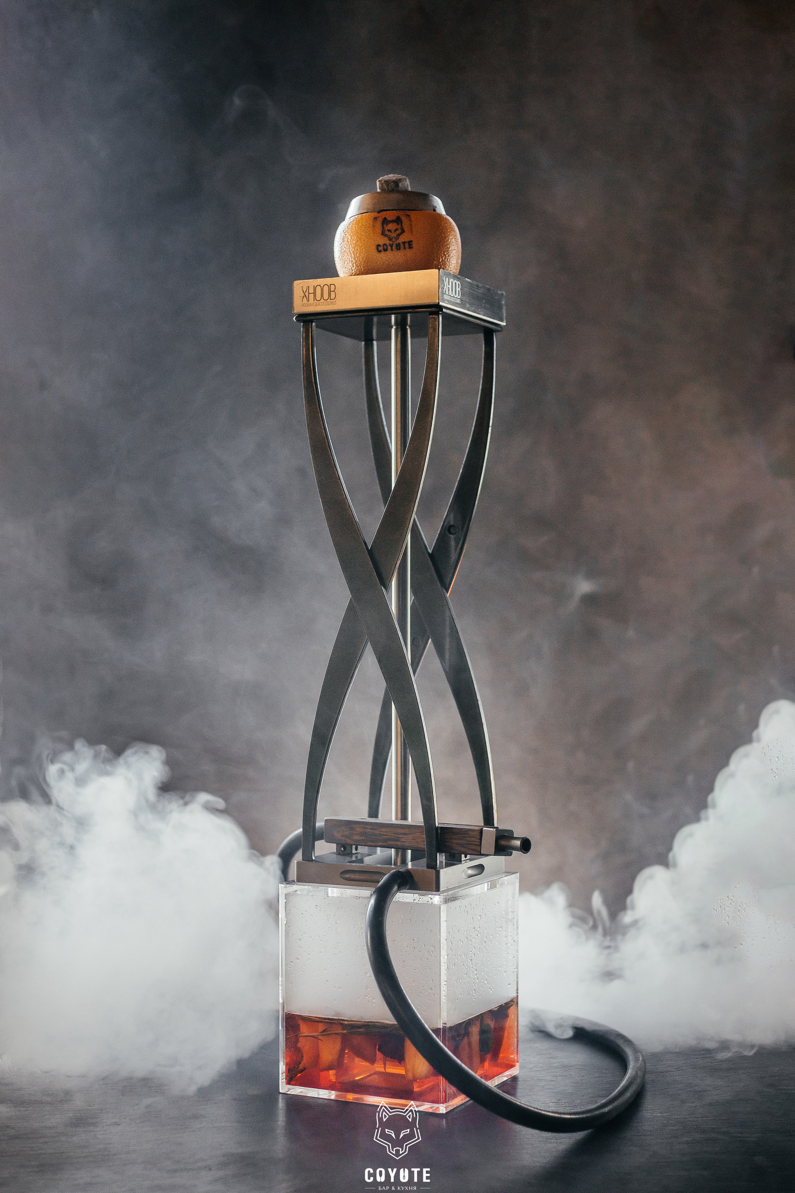 Бар Койот. Ваш самый лучший фотограф!