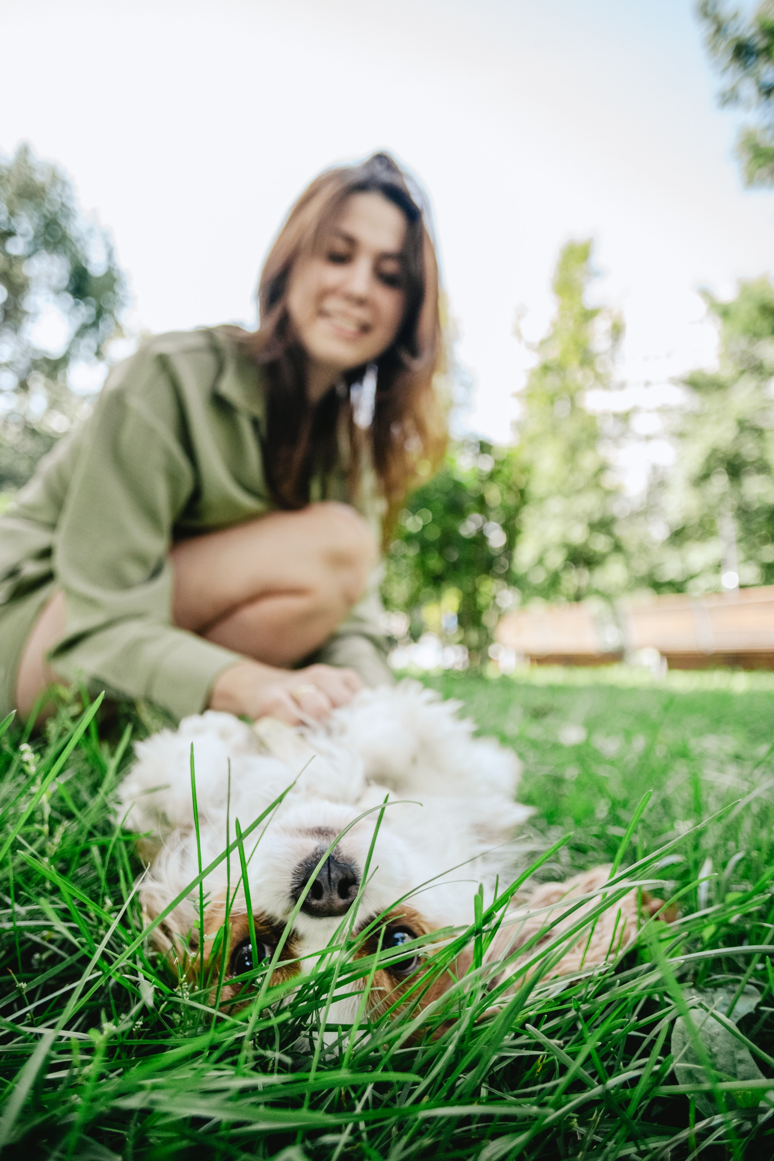Фотопрогулка на бульваре. Фотограф-анималист Татьяна Степанова