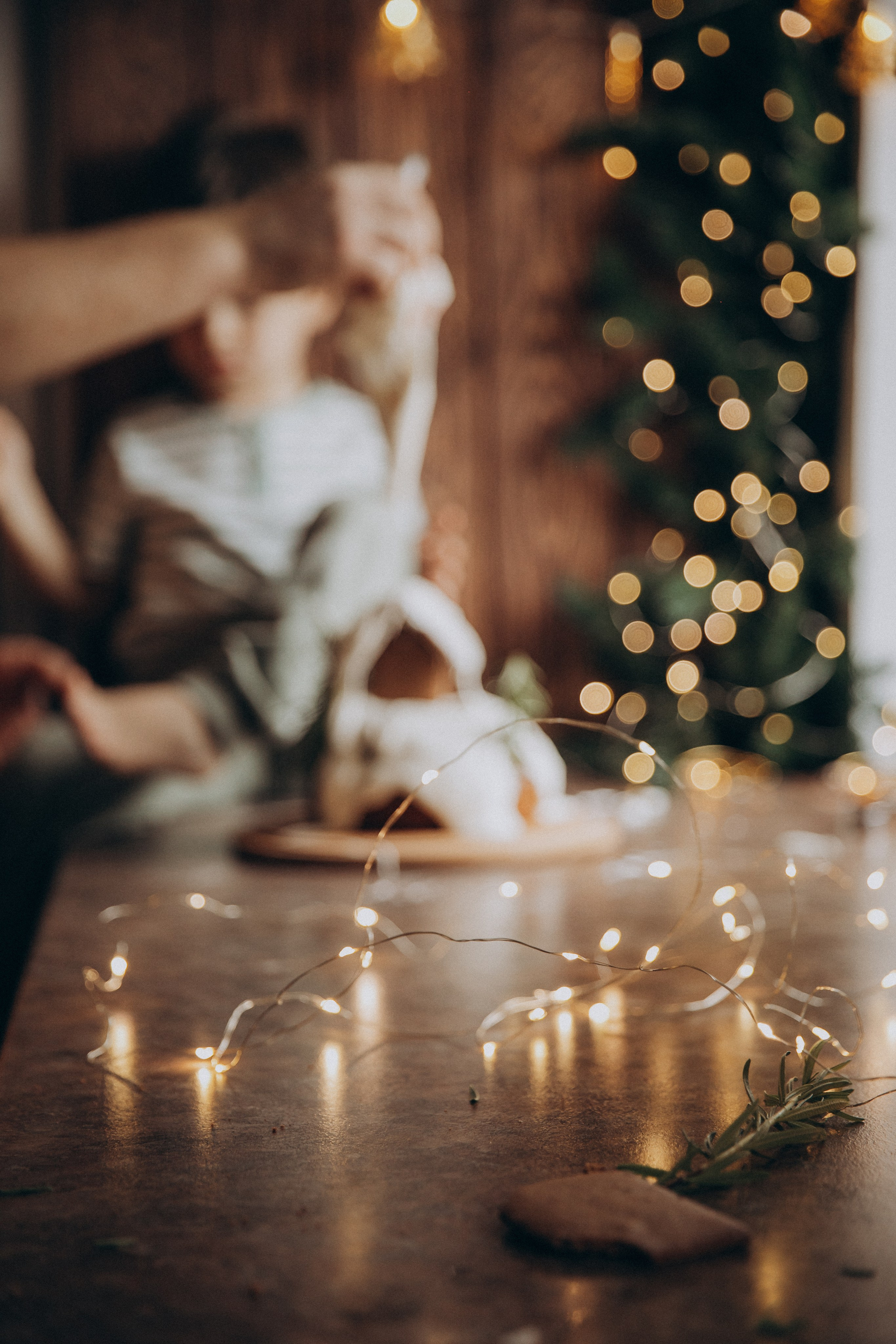 НГ. Свадебный и семейный фотограф Василина Батищева в Моздоке, Северной Осетии и КМВ