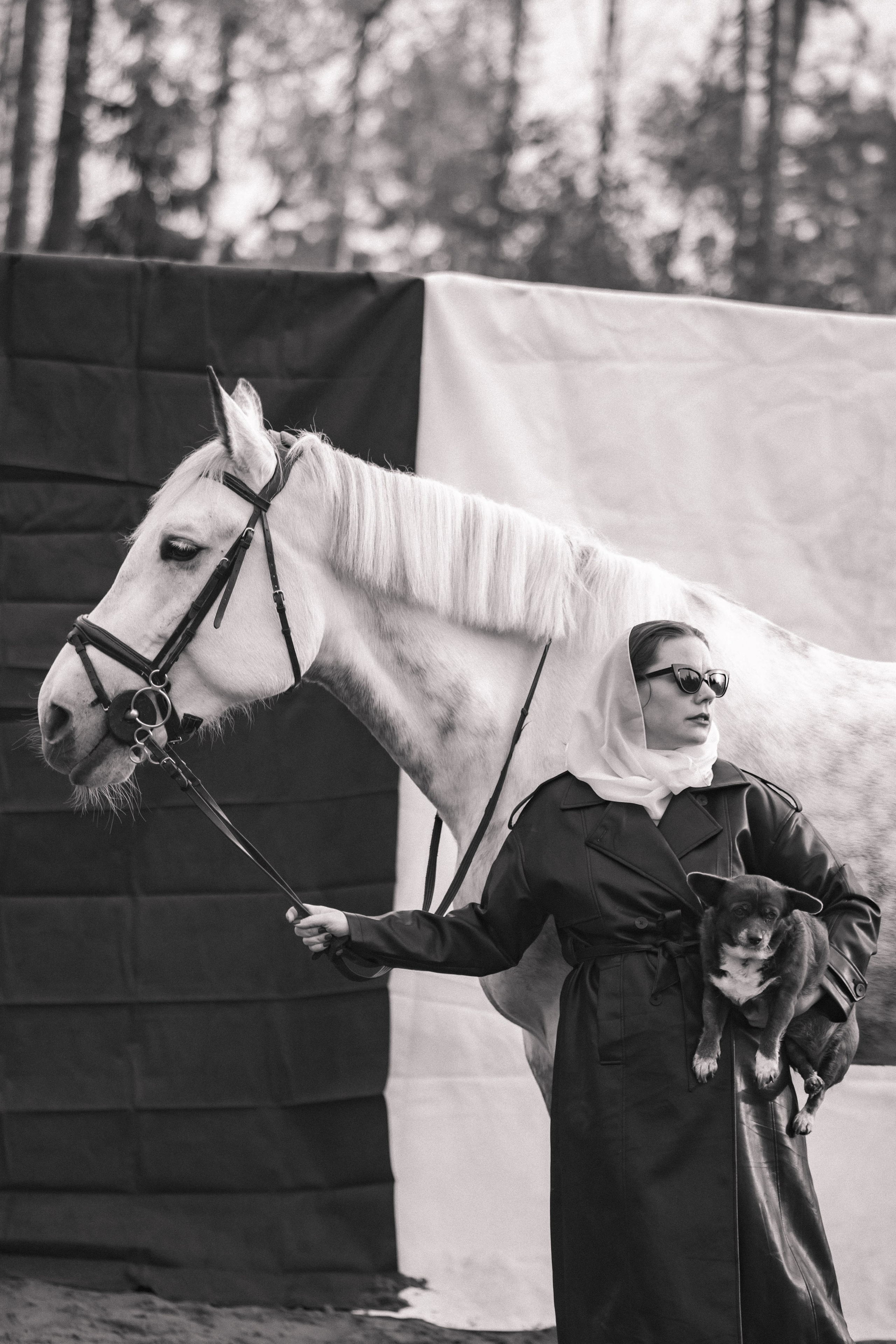 Проект DEFILE. Конный фотограф в Санкт-Петербурге Анна Лебедева