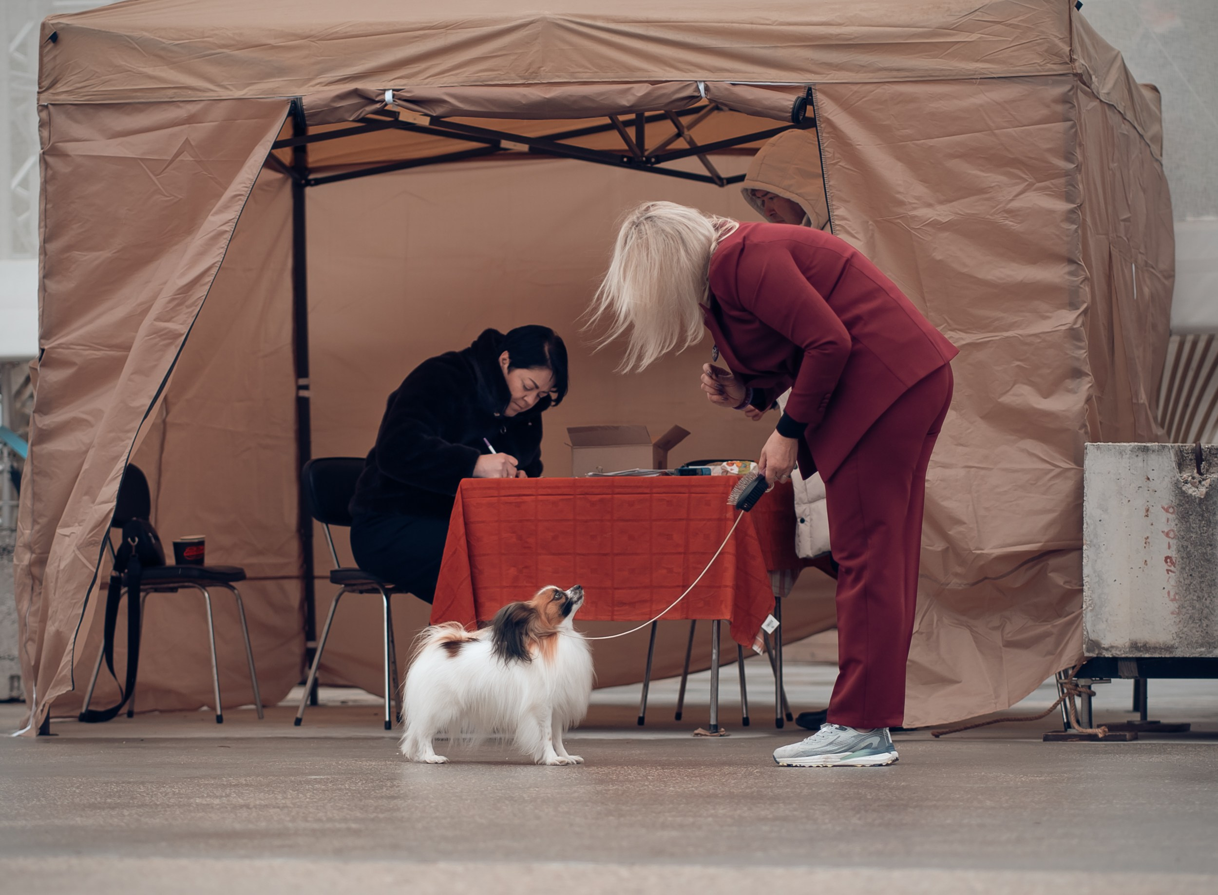 Благотворительная выставка собак в Новом Херсонесе г. Севастополь. Церковный фотограф Севастополь