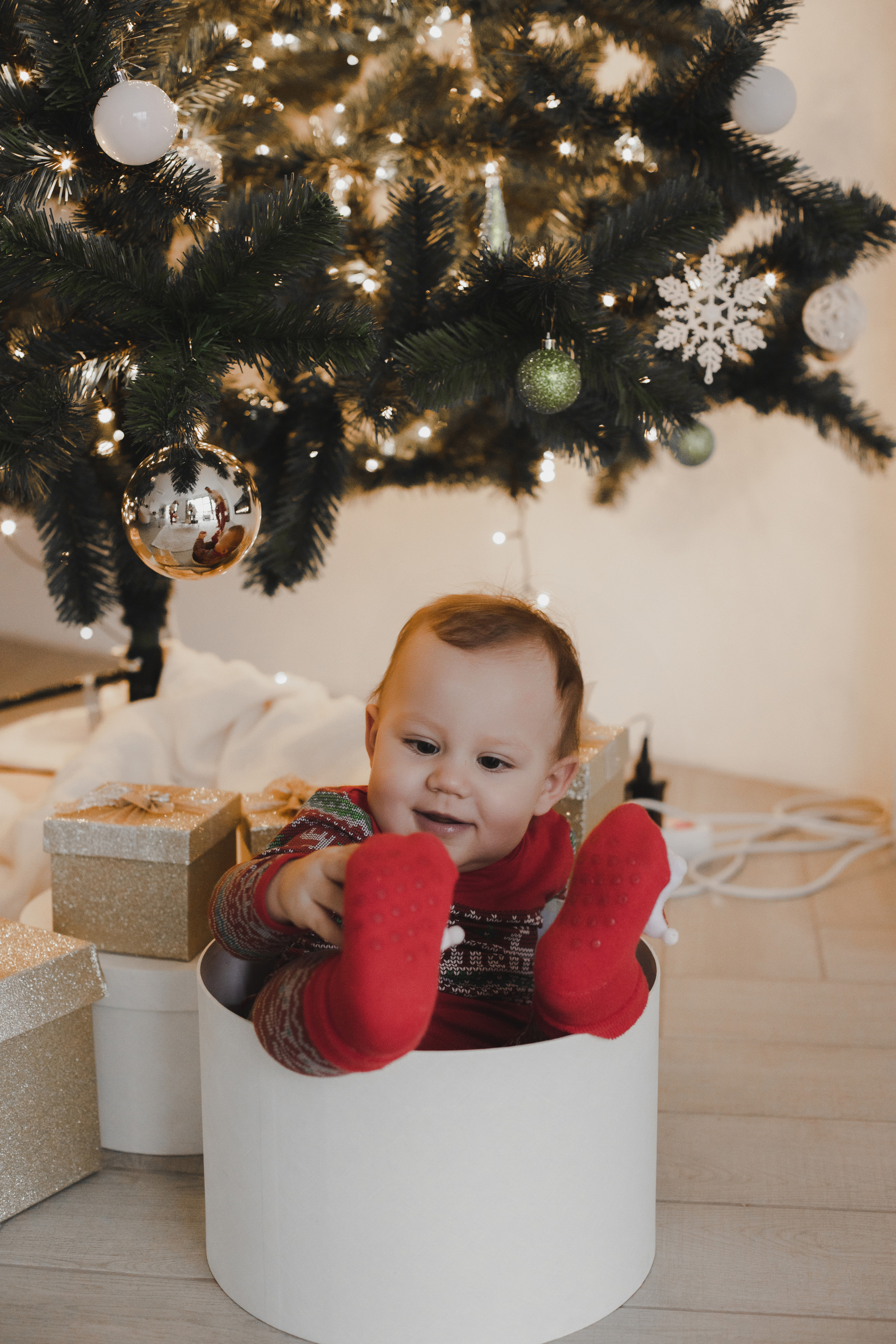 Ивановы и маленький гном