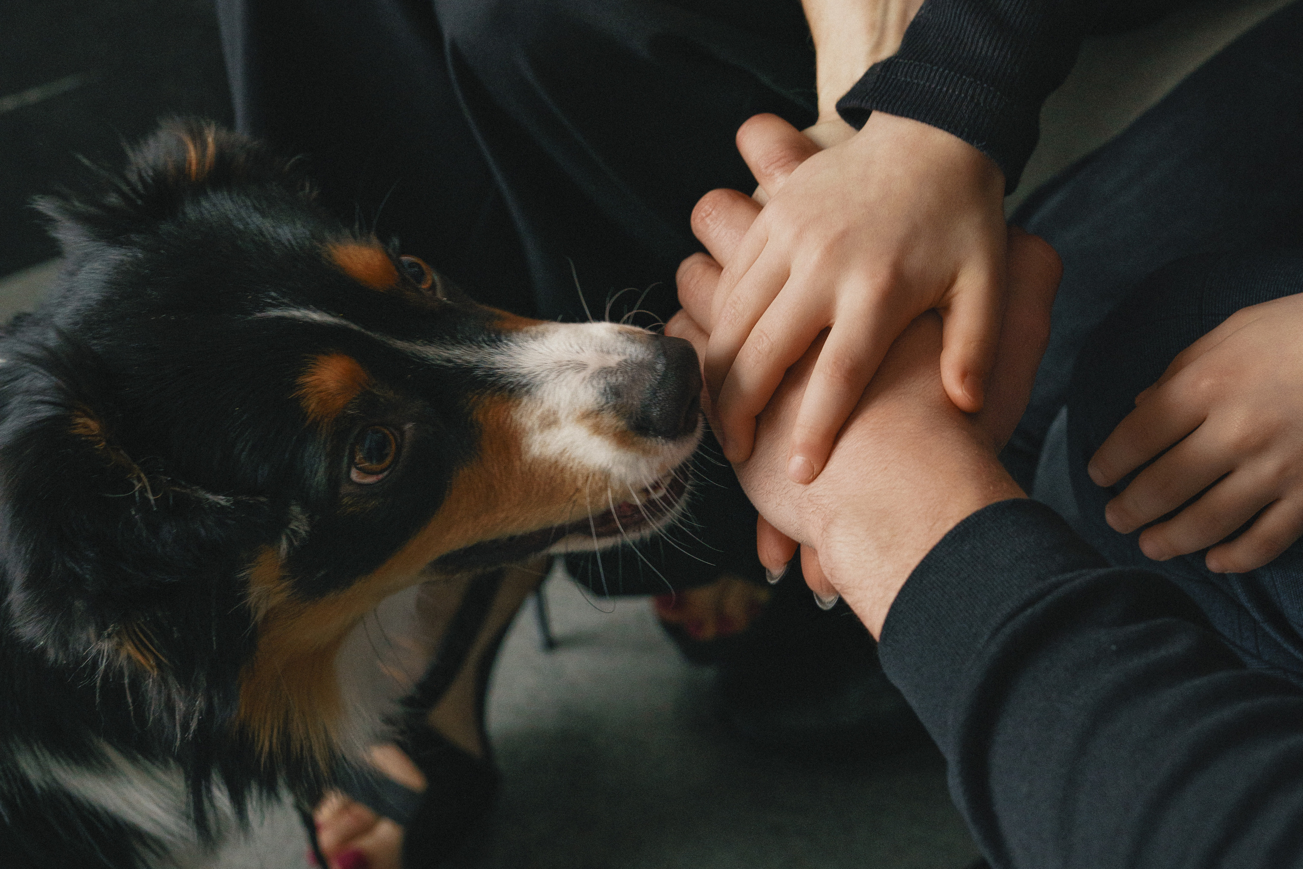 Черно-белый новый год