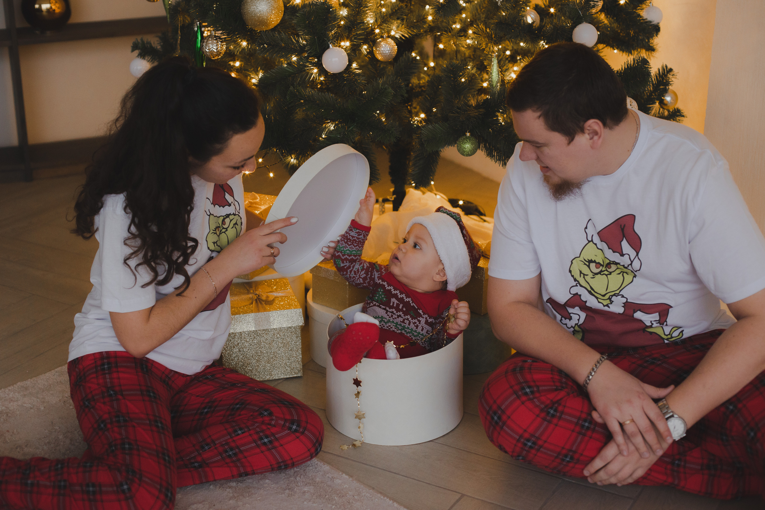 Ивановы и маленький гном