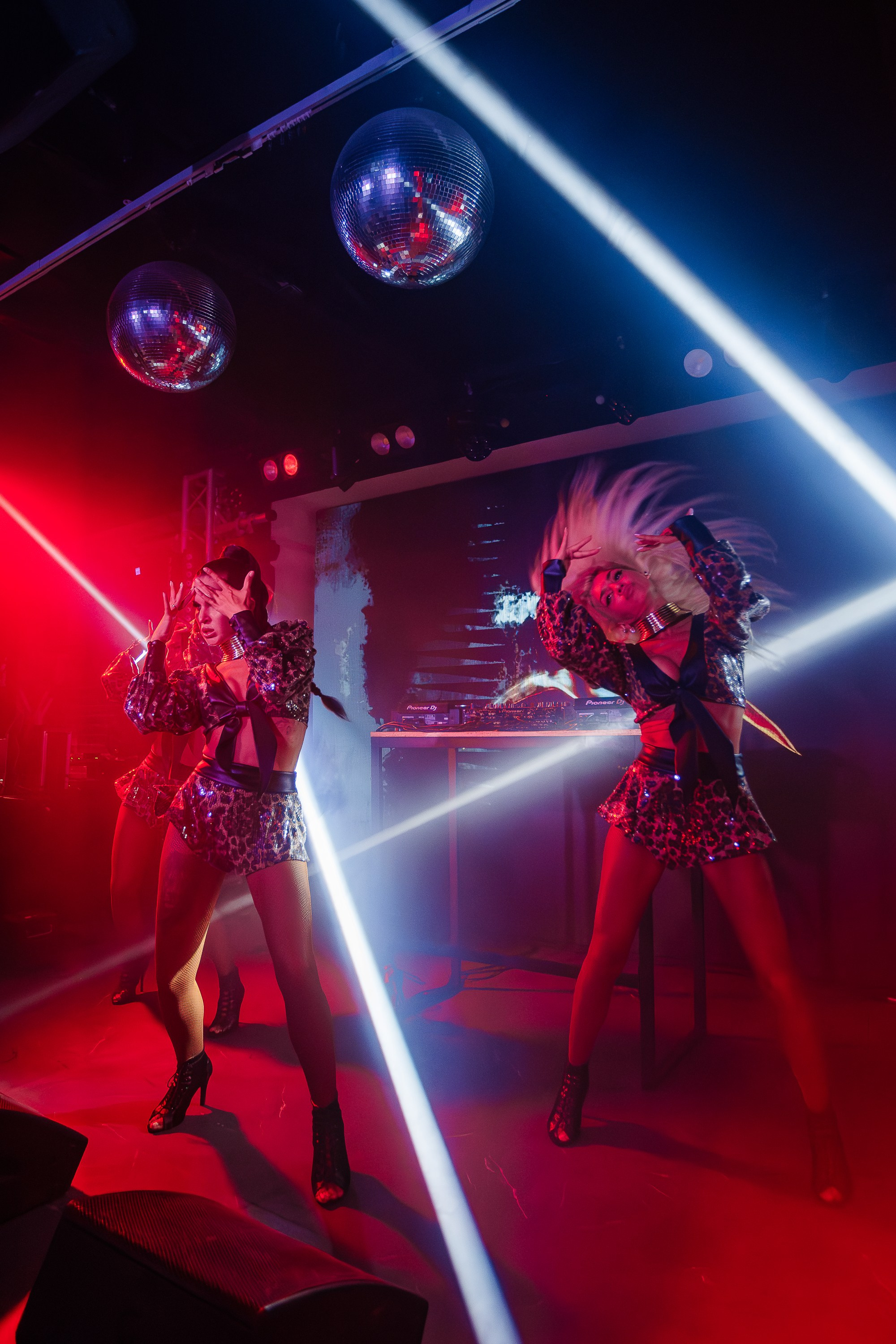 «КРАВЦ"_Чайка на пляже_Ялта_27.08.2025 г. Аминов Руслан | Фотограф