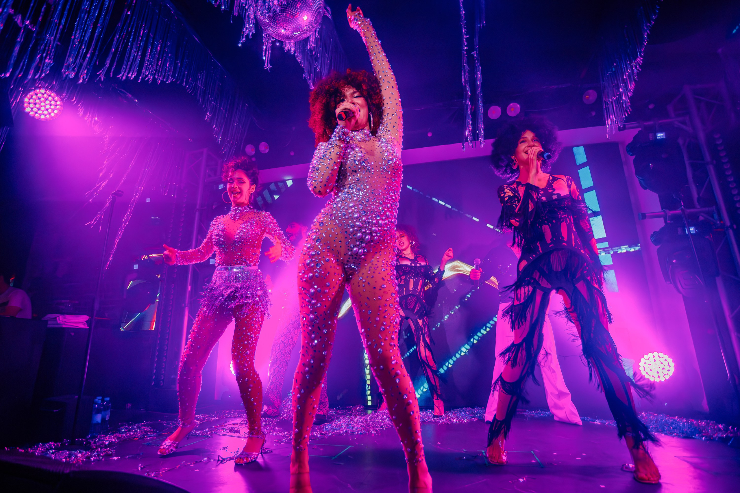 «Magic of BONEY`M «_Чайка на пляже_Ялта_06.12.2025 г. Аминов Руслан | Фотограф