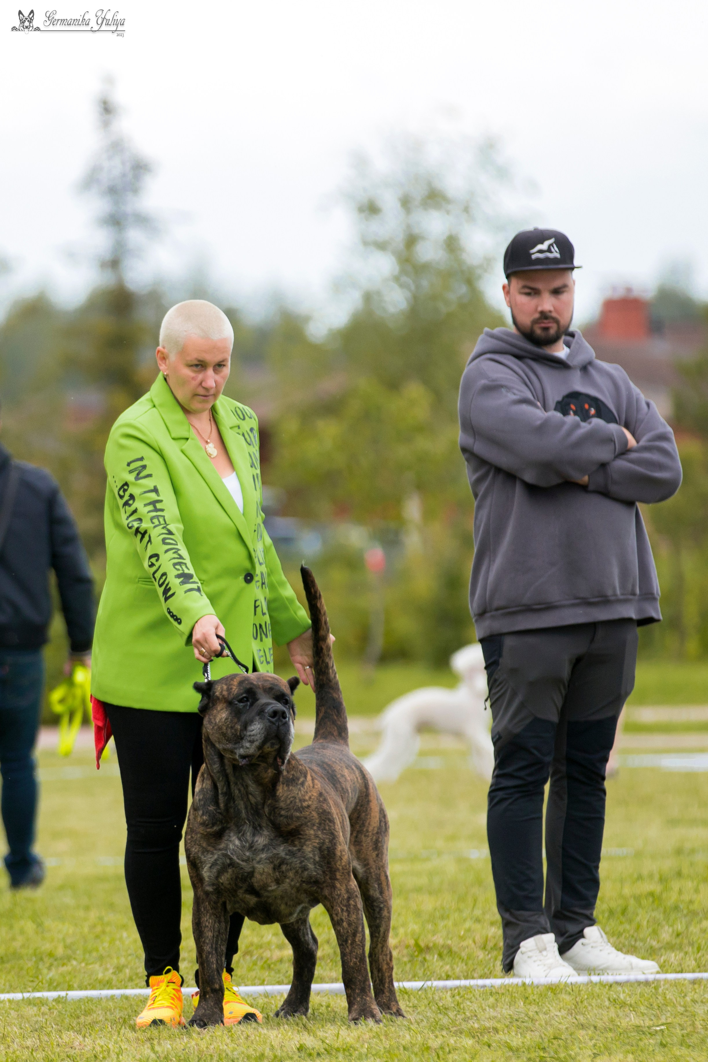 Переславль 9-10.09.2023. Фотограф-анималист Юлия Германика