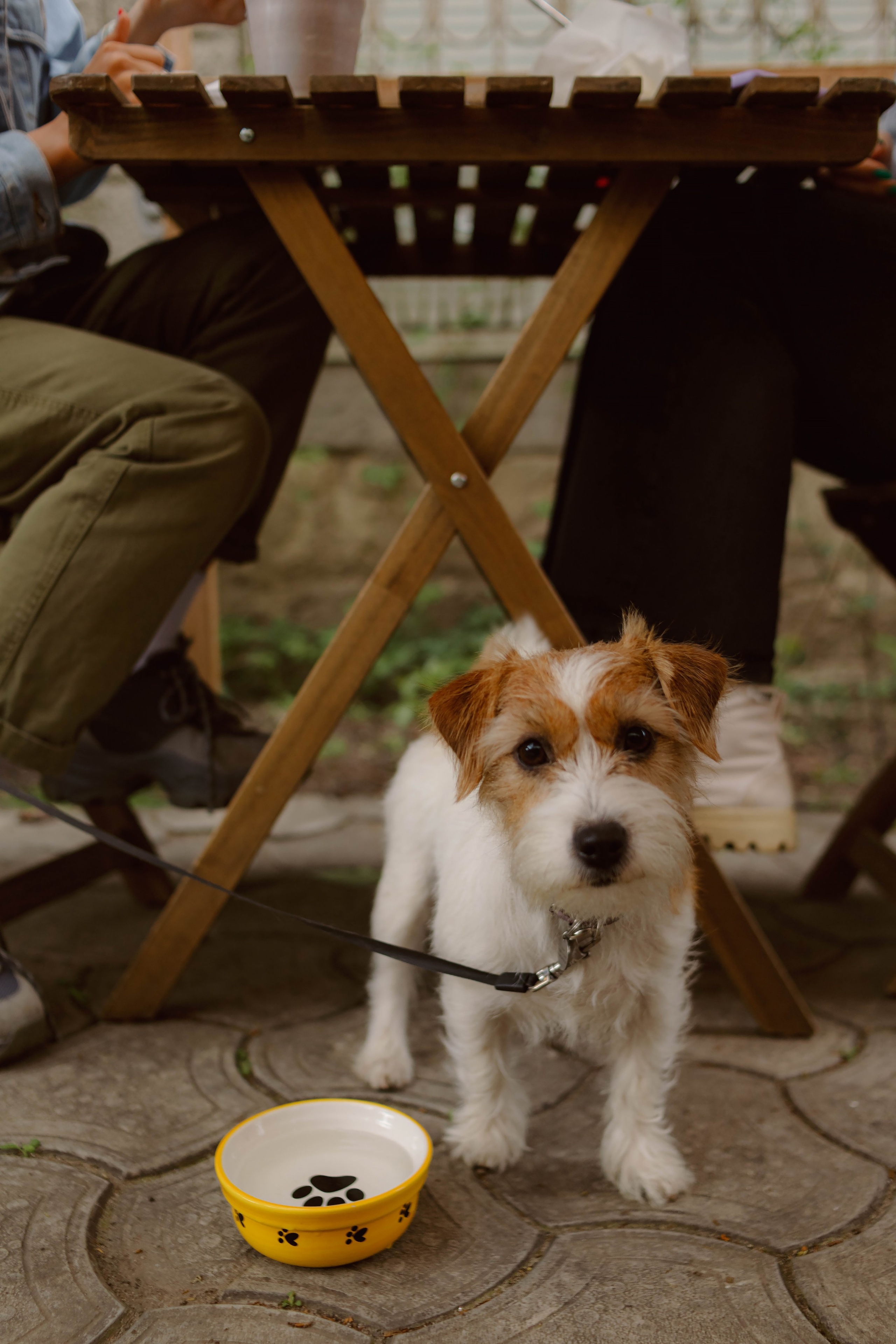 MARK|LERA. Fashion Wedding Photographer Los Angeles Katrine Baklykova