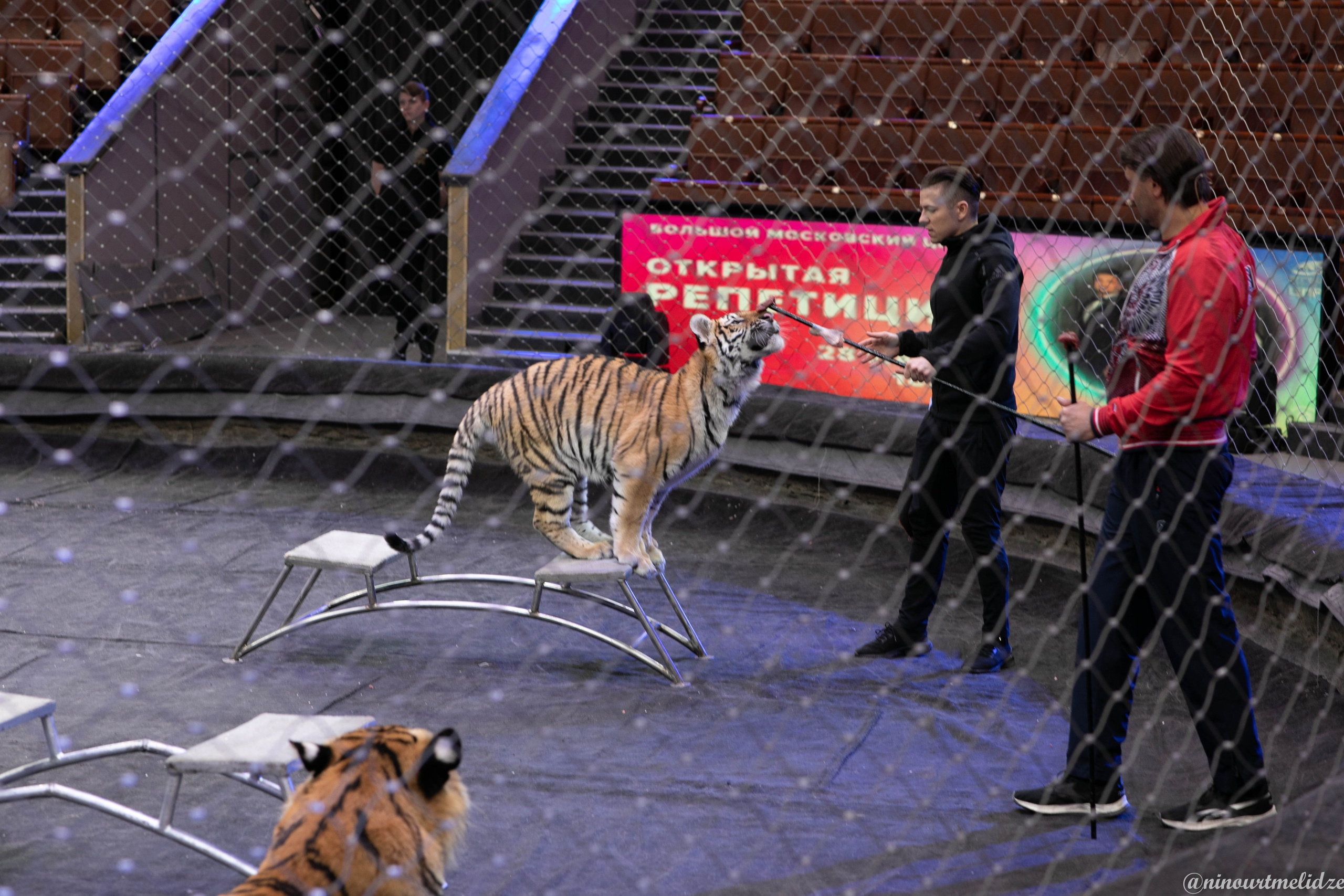 В закулисье у братьев Запашных. Art photographer Nino