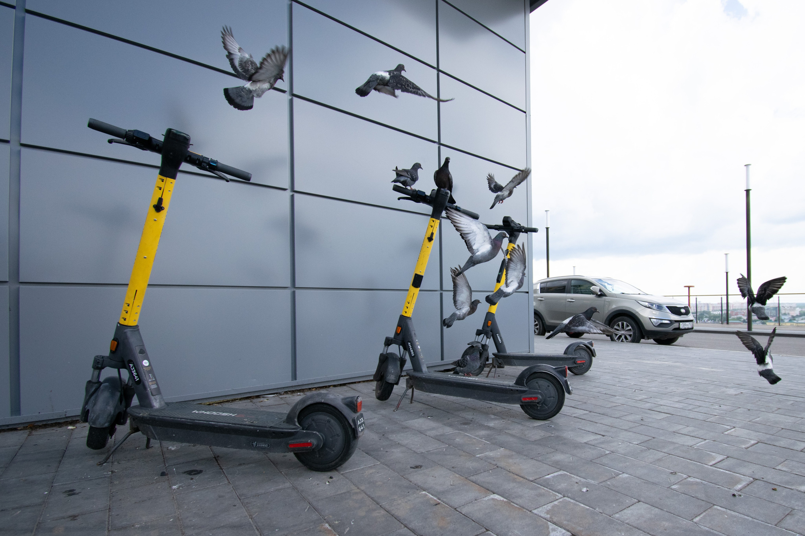 РГ. Самокаты. Iliya Soldatkin Fine Art Photography