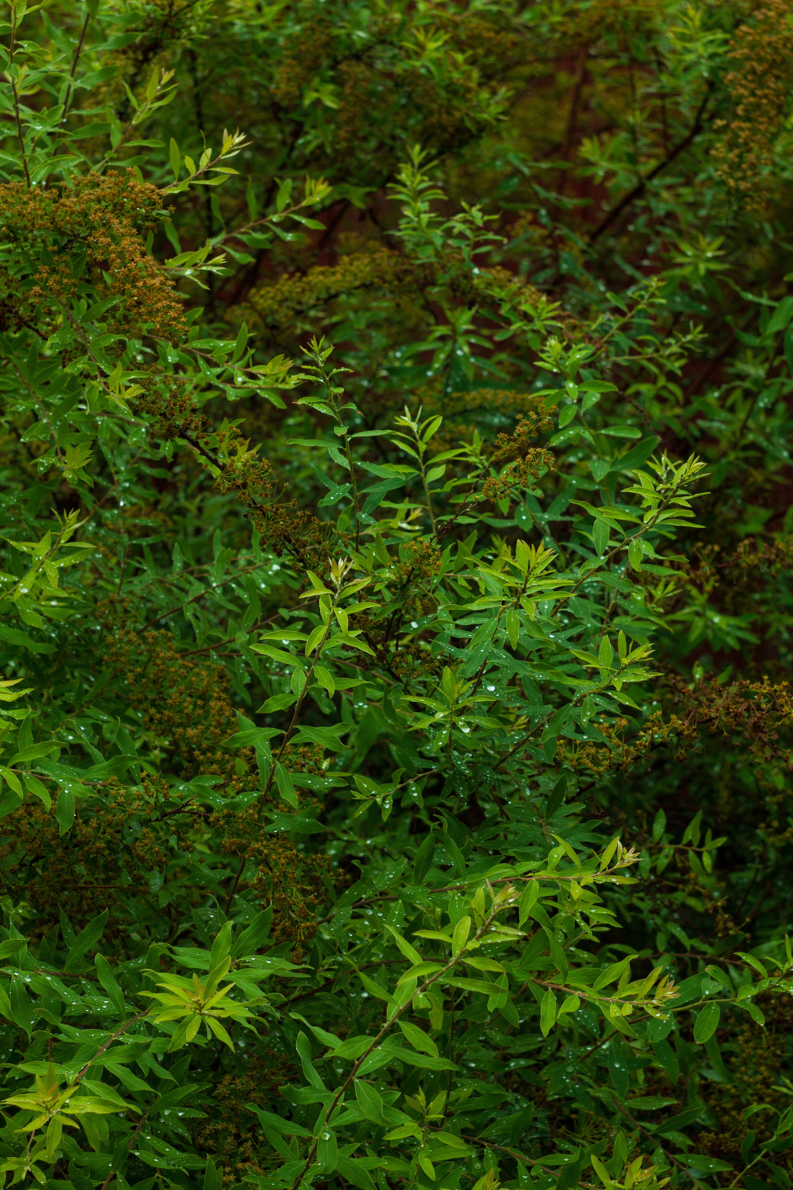 Dacha vibes. Папка кадров 📁