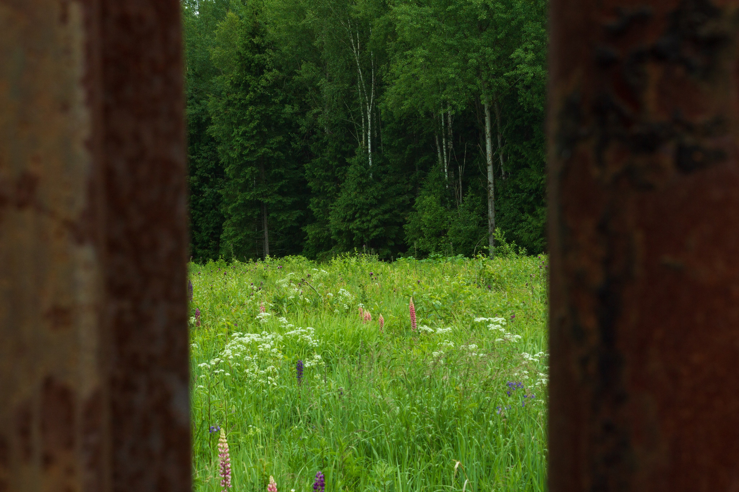 Dacha vibes. Папка кадров 📁
