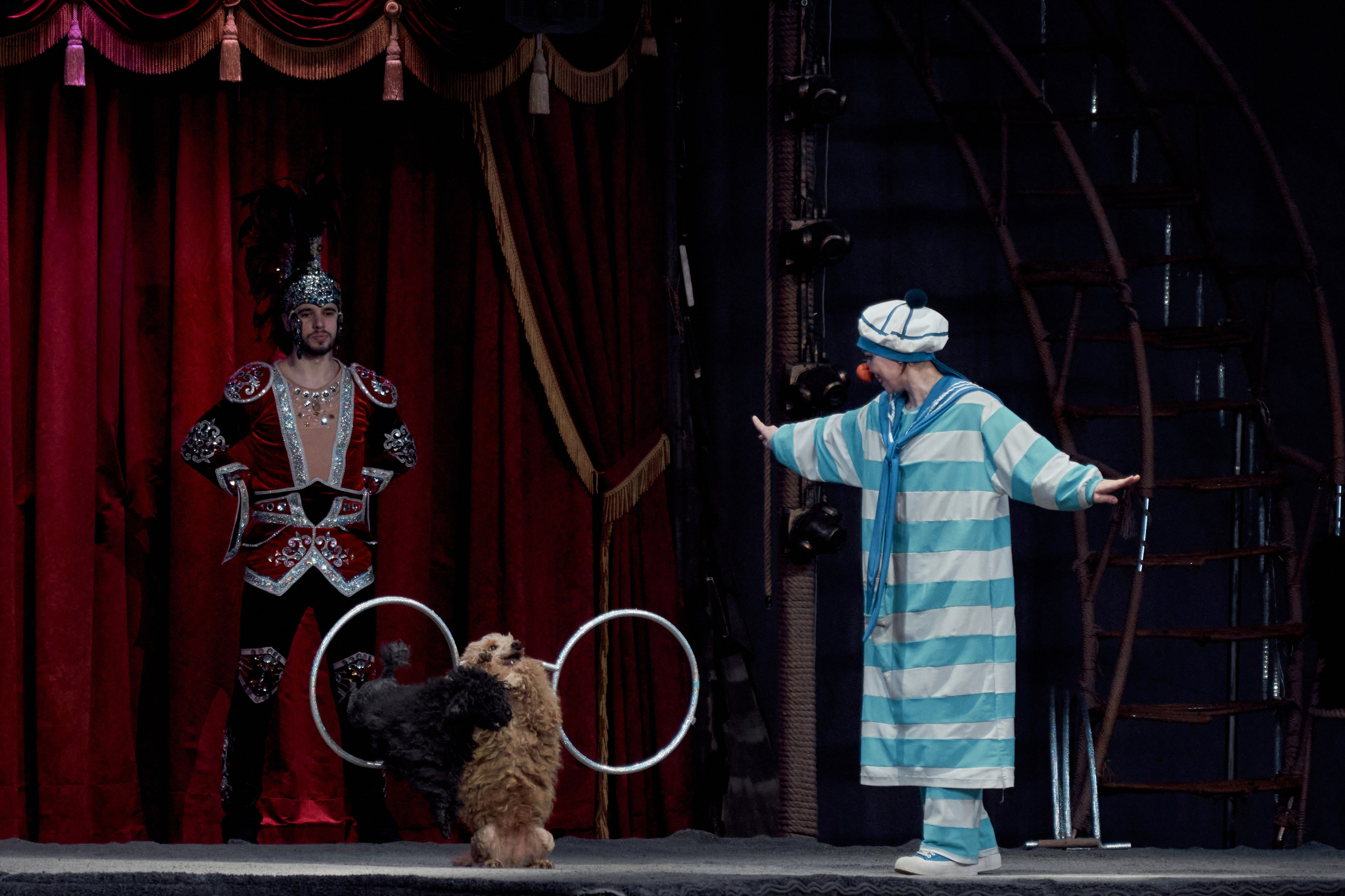 Цирк «На воде». Фотограф