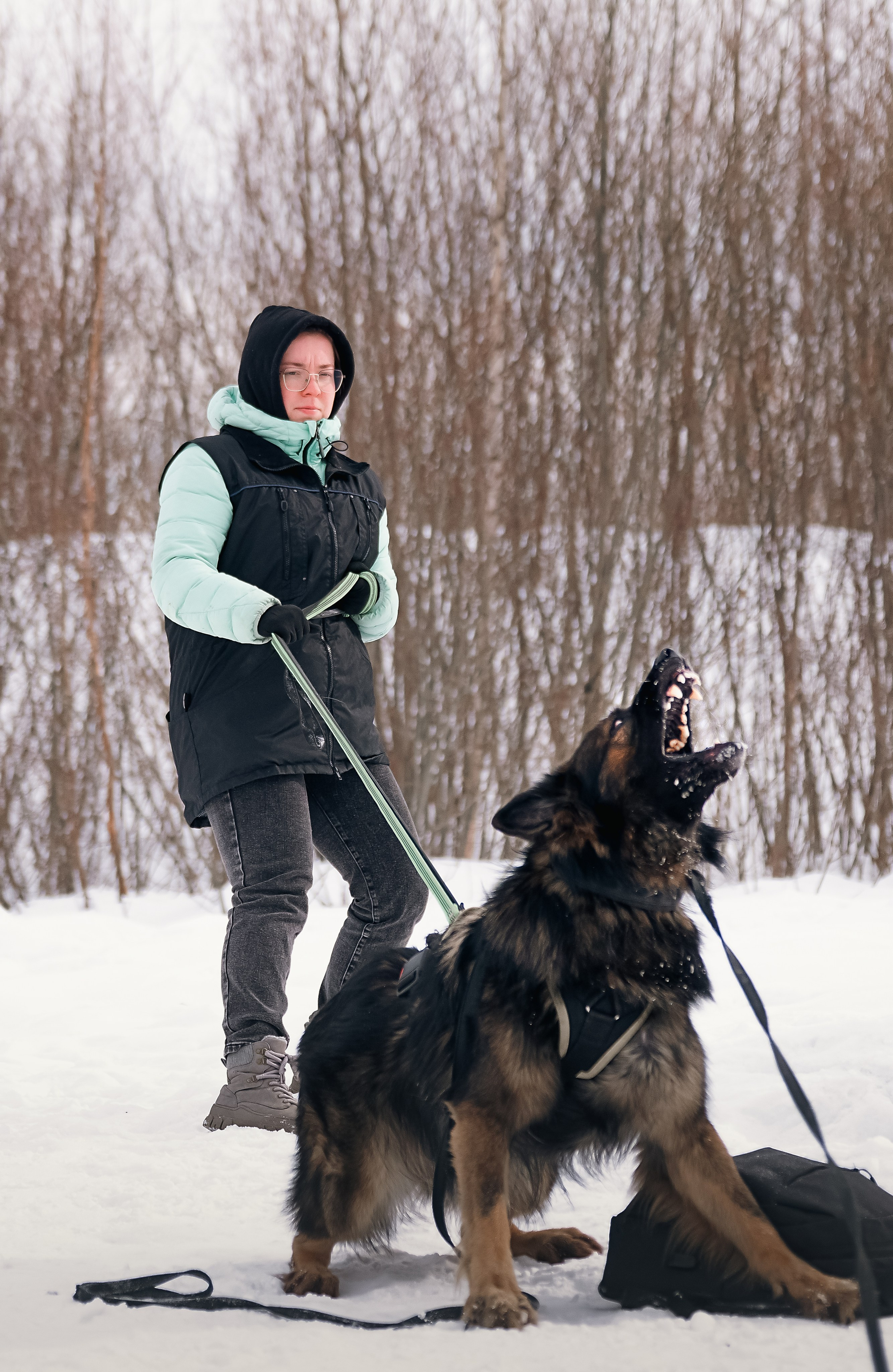 Репортажная съемка. Фотограф-анималист Нижний Новгород