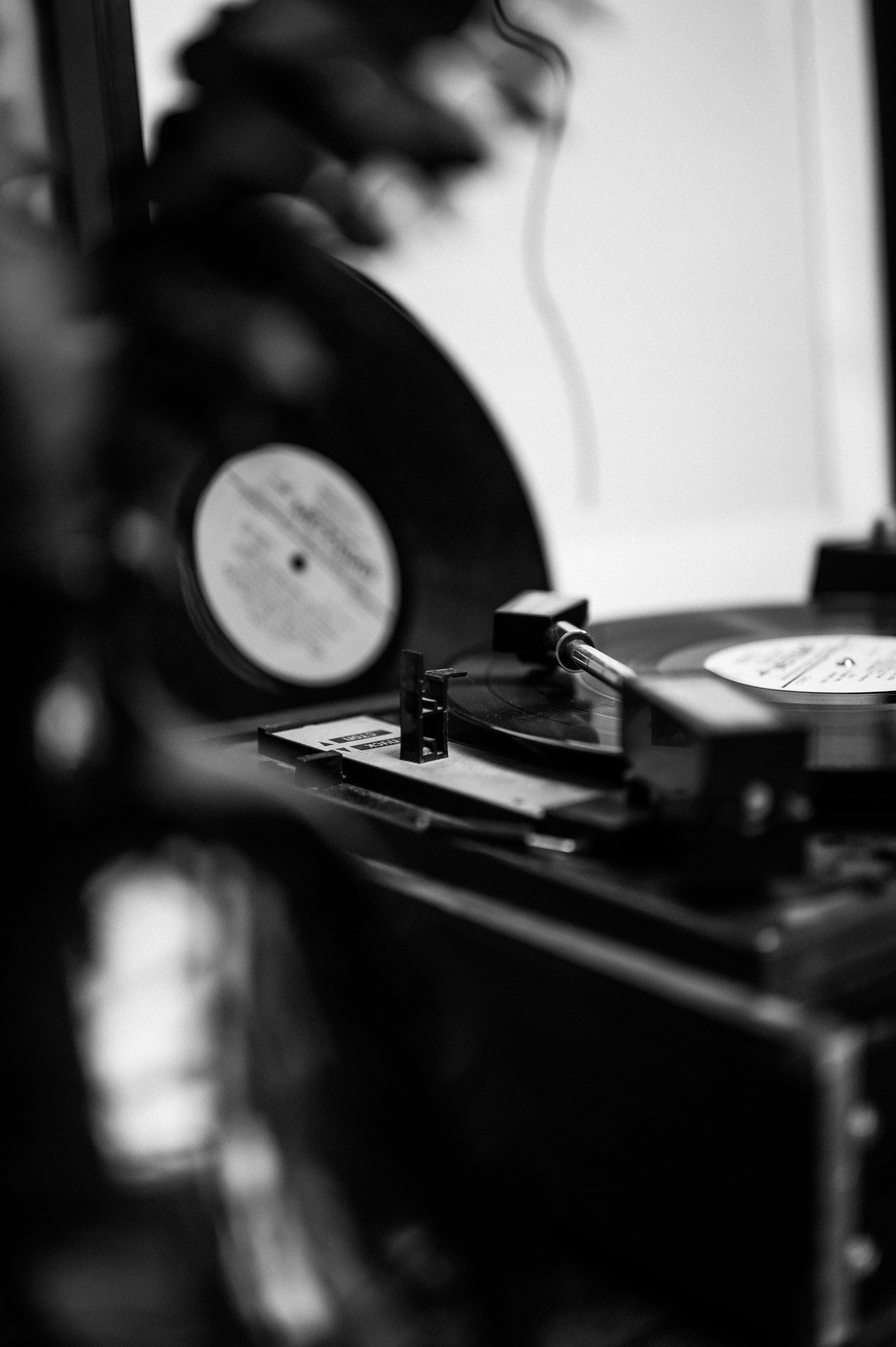 Лиза. Свадебный видеограф и фотограф в Москве Никонова Анна