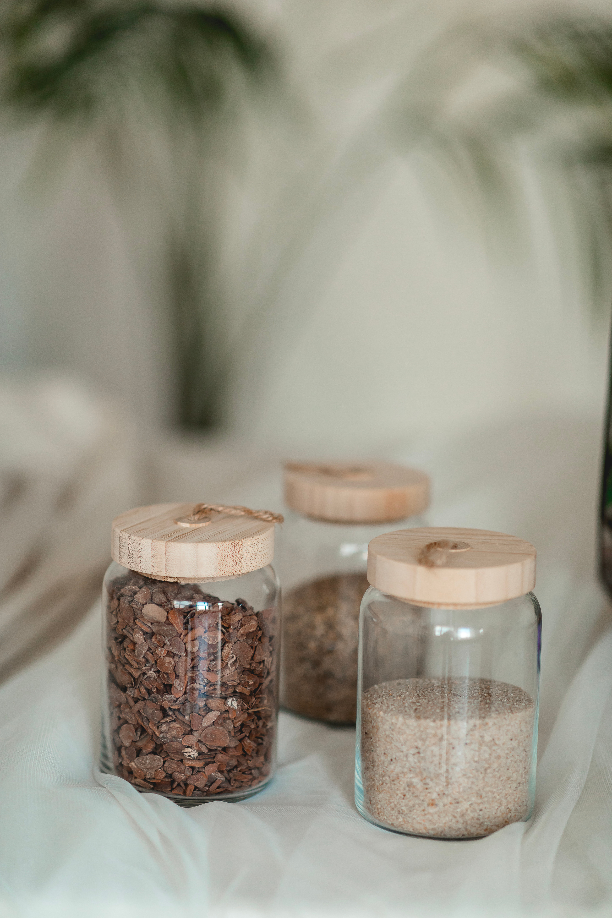 Флорариумы. Свадебный видеограф в Москве Никонова Анна