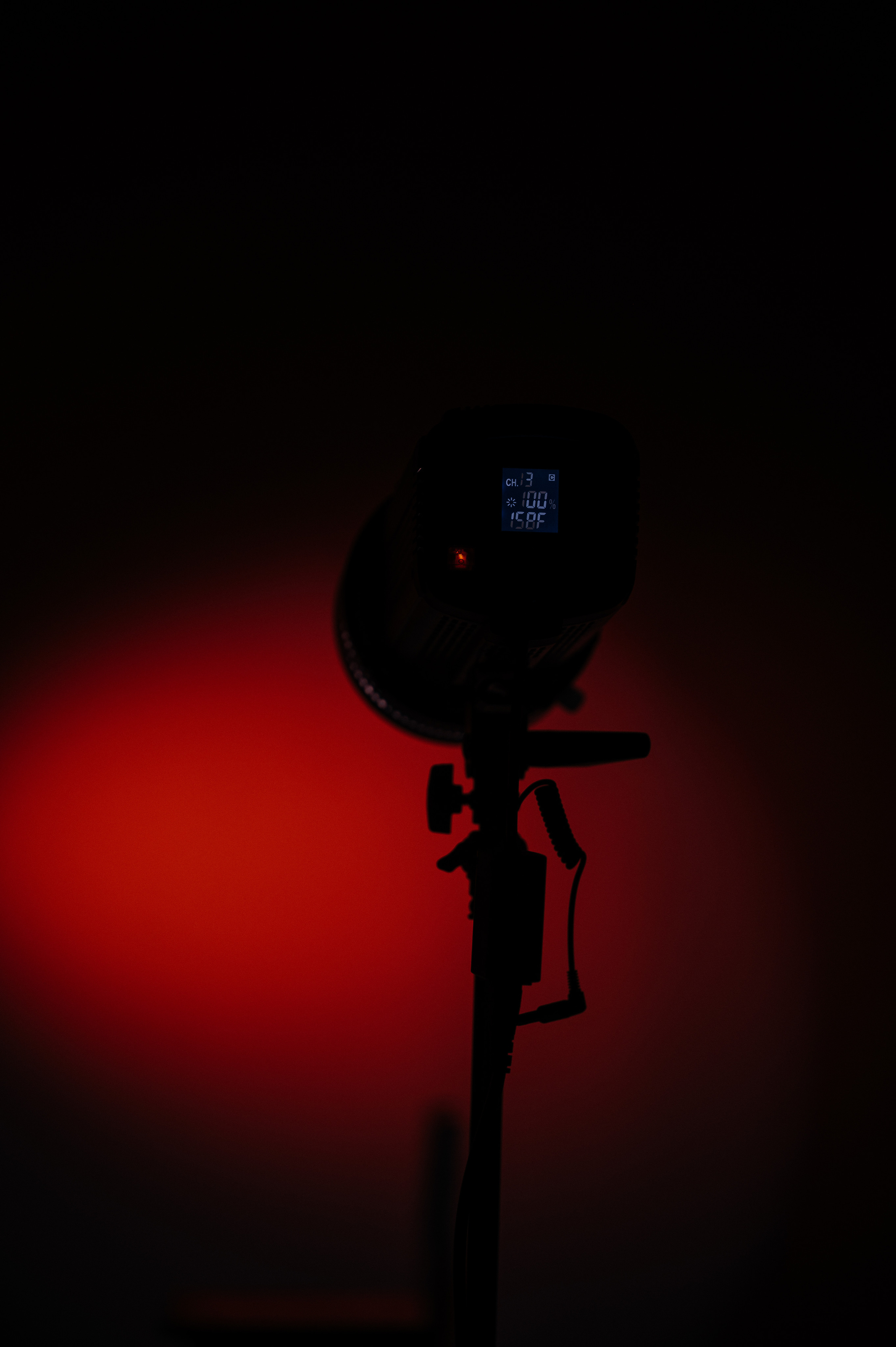 Любовь. Свадебный видеограф в Москве Никонова Анна