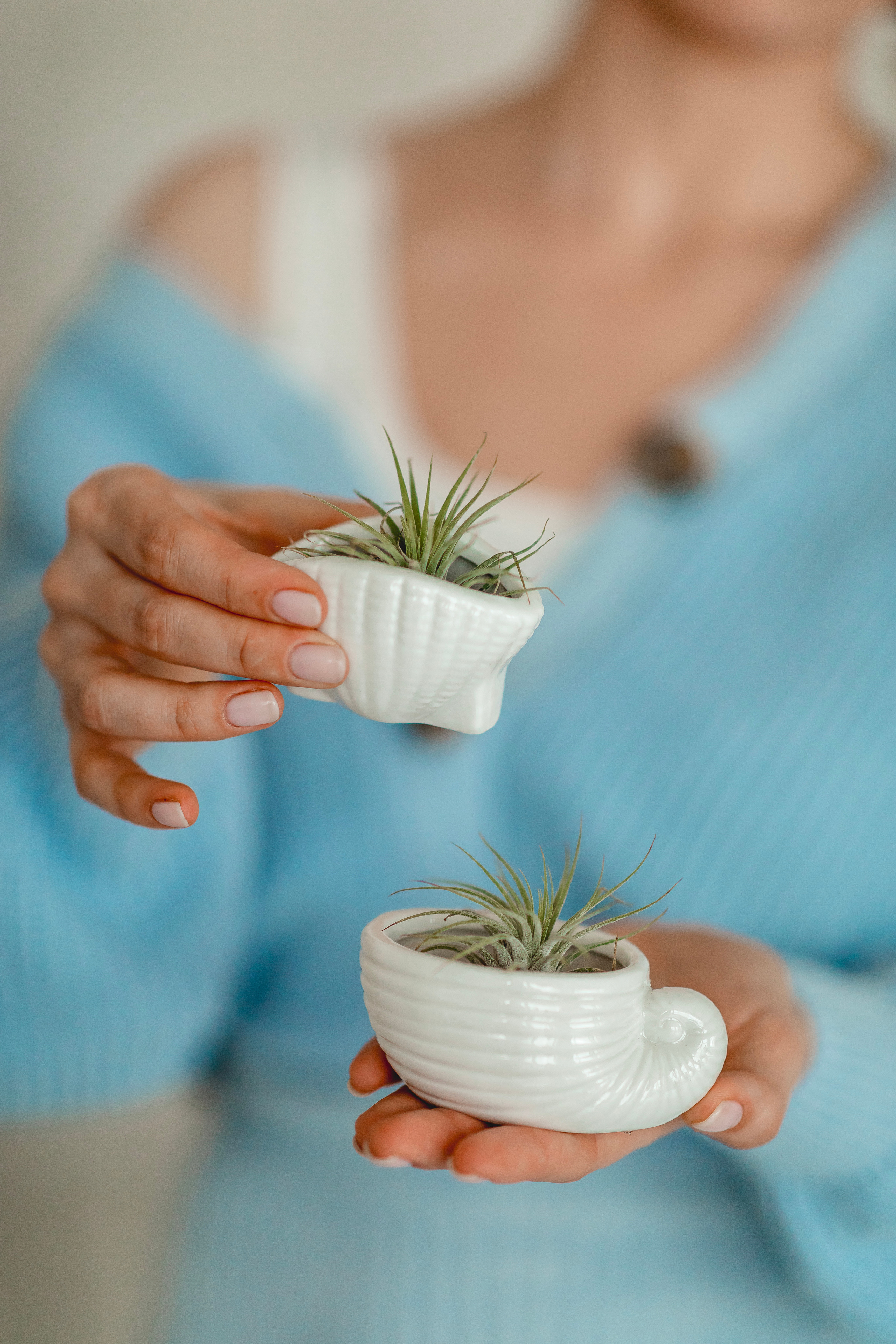 Флорариумы. Свадебный видеограф в Москве Никонова Анна