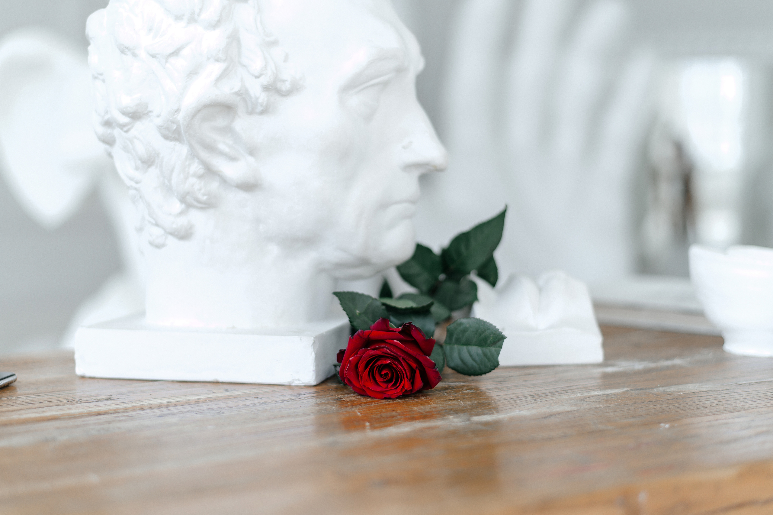 Даша. Свадебный видеограф в Москве Никонова Анна