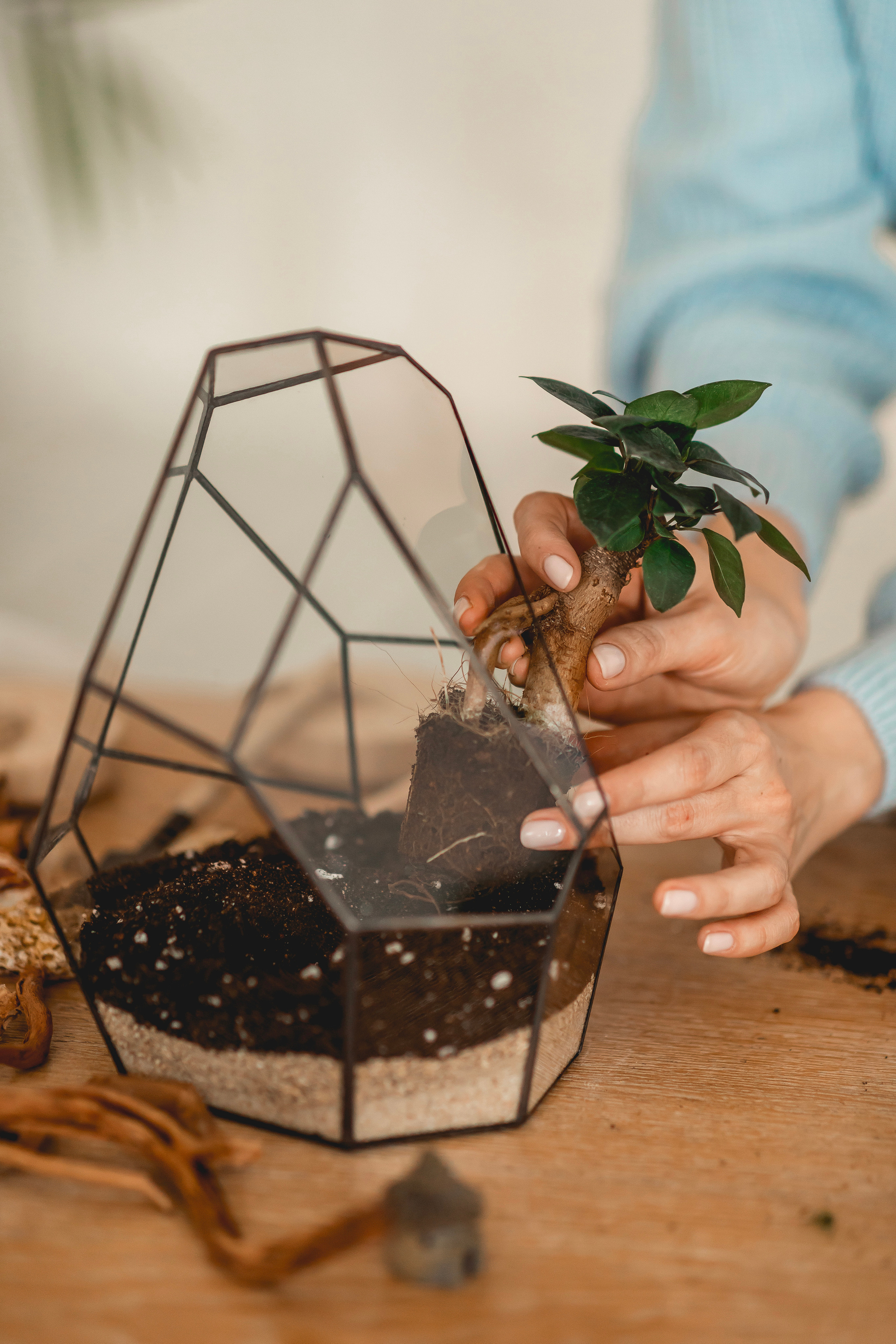 Флорариумы. Свадебный видеограф в Москве Никонова Анна
