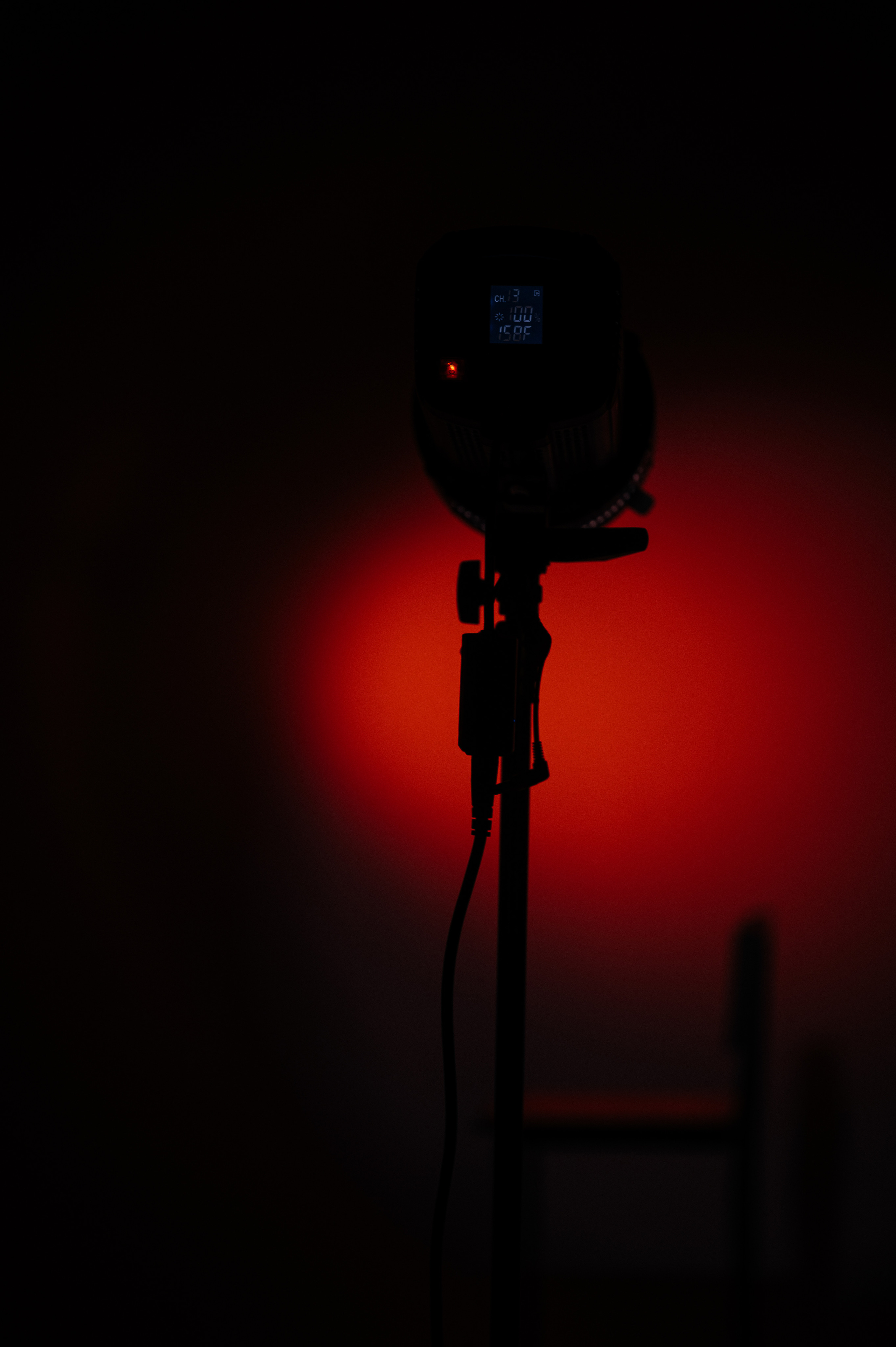 Любовь. Свадебный видеограф в Москве Никонова Анна