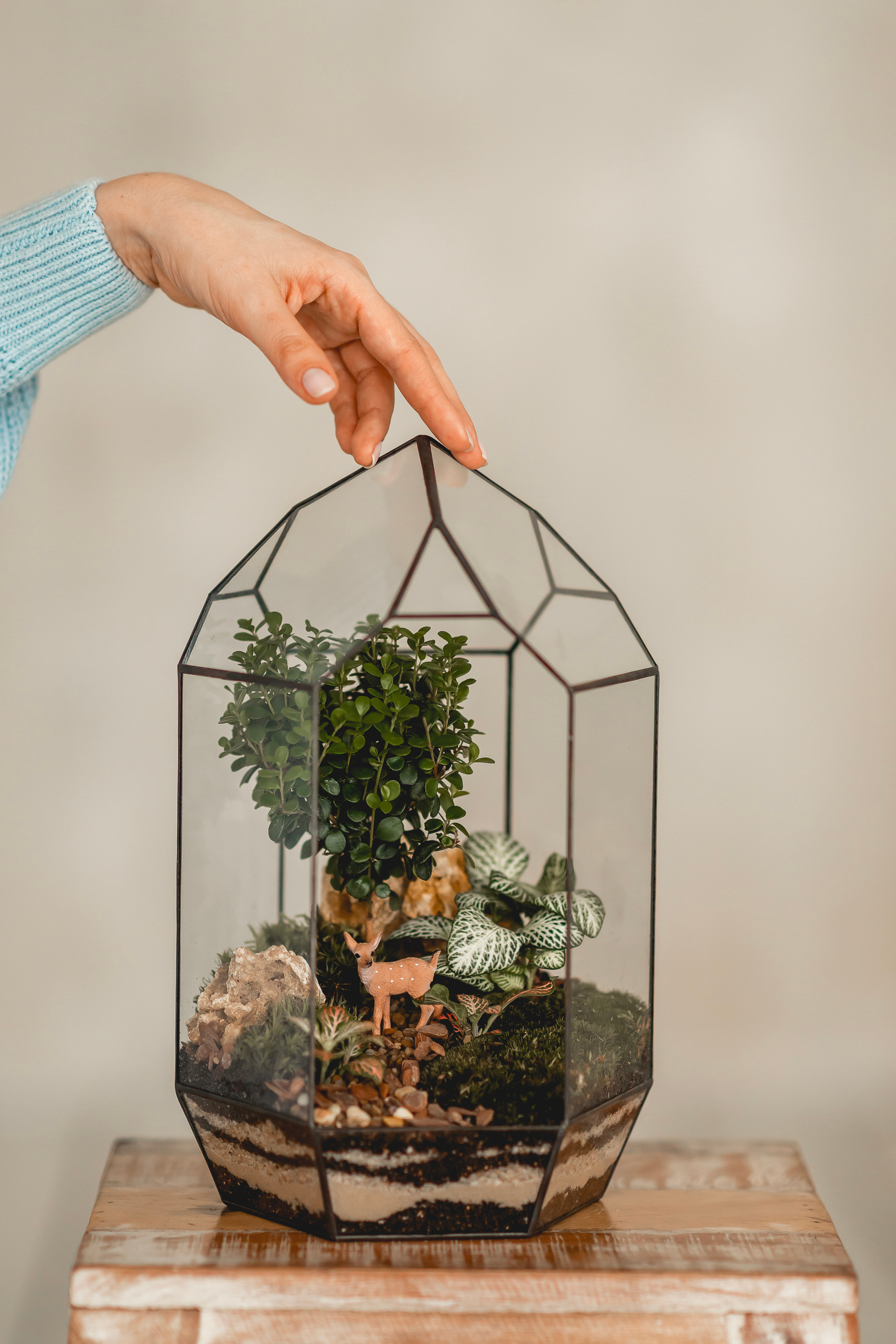 Флорариумы. Свадебный видеограф в Москве Никонова Анна