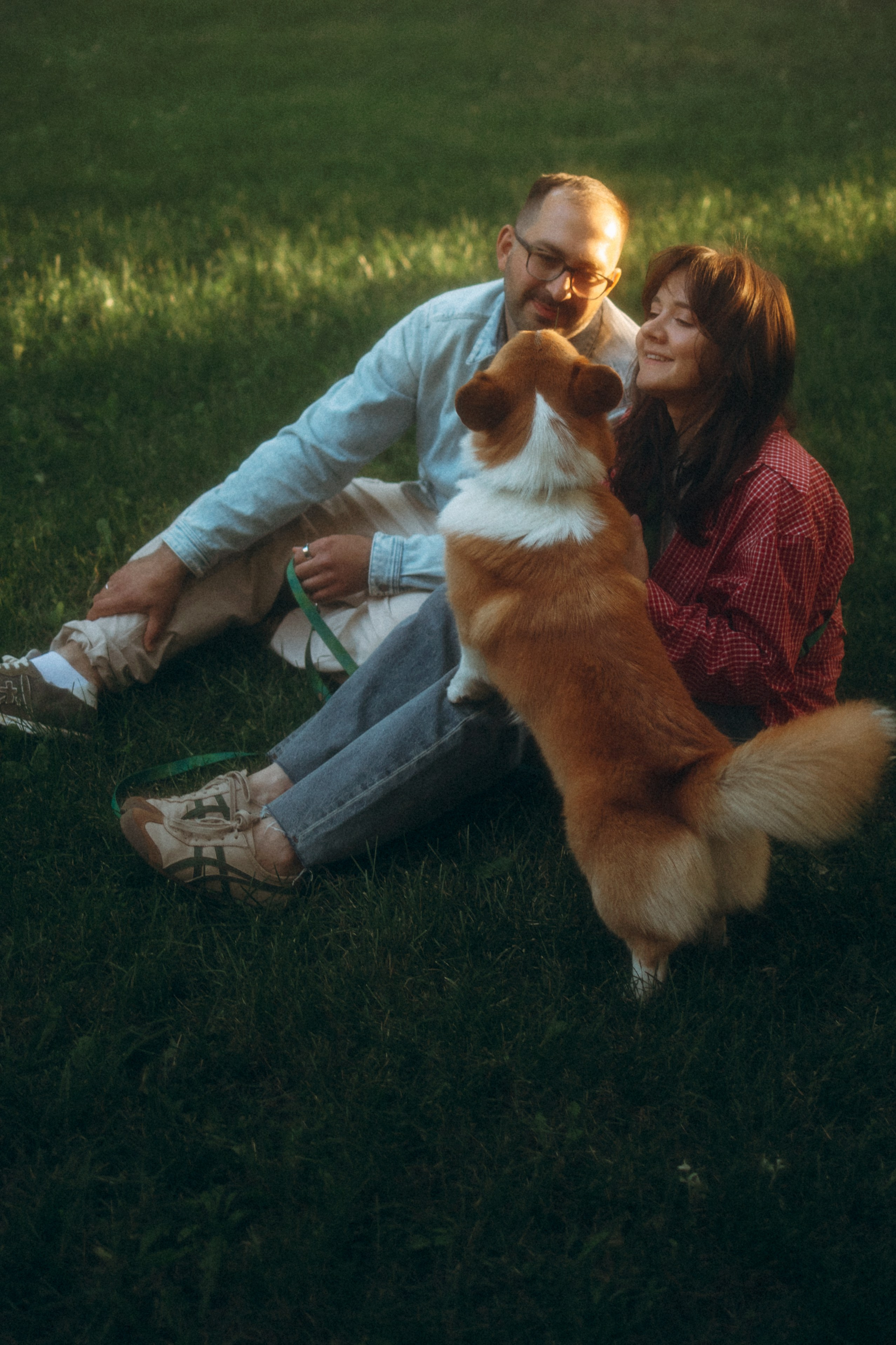 Момо, Люда и Эд. Фотограф анималист Анастасия Пикей