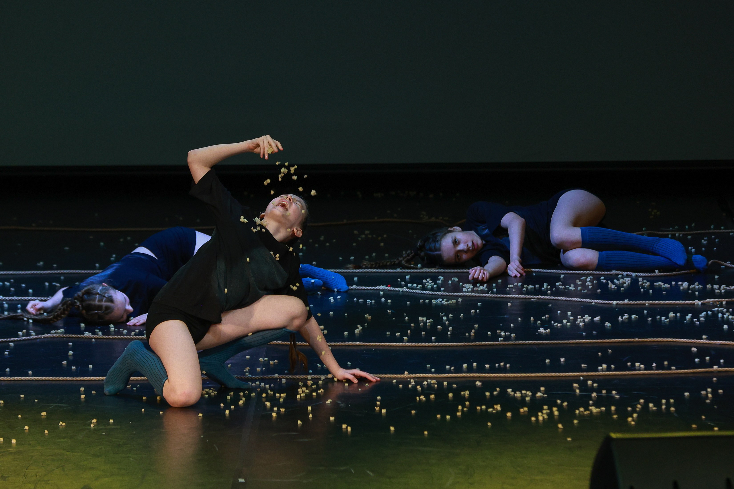 Небесные ласточки на Танц ЭКСПО 2026. Фотограф Юлия Мальцева