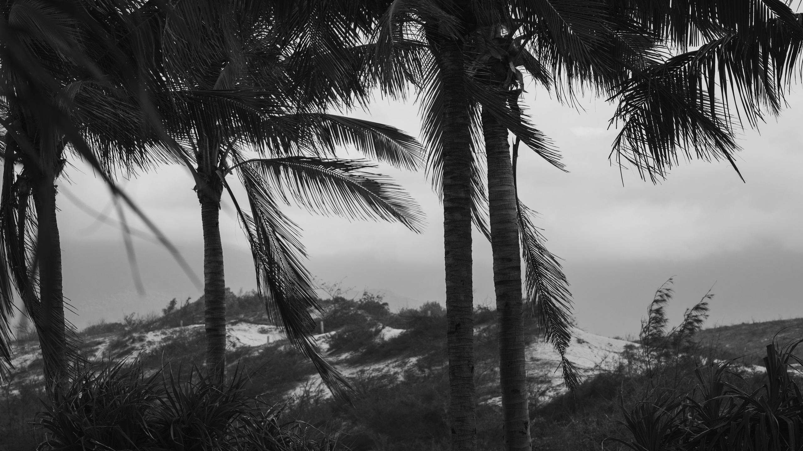 Other. Orunek photo (portrait photographer in Da Nang)