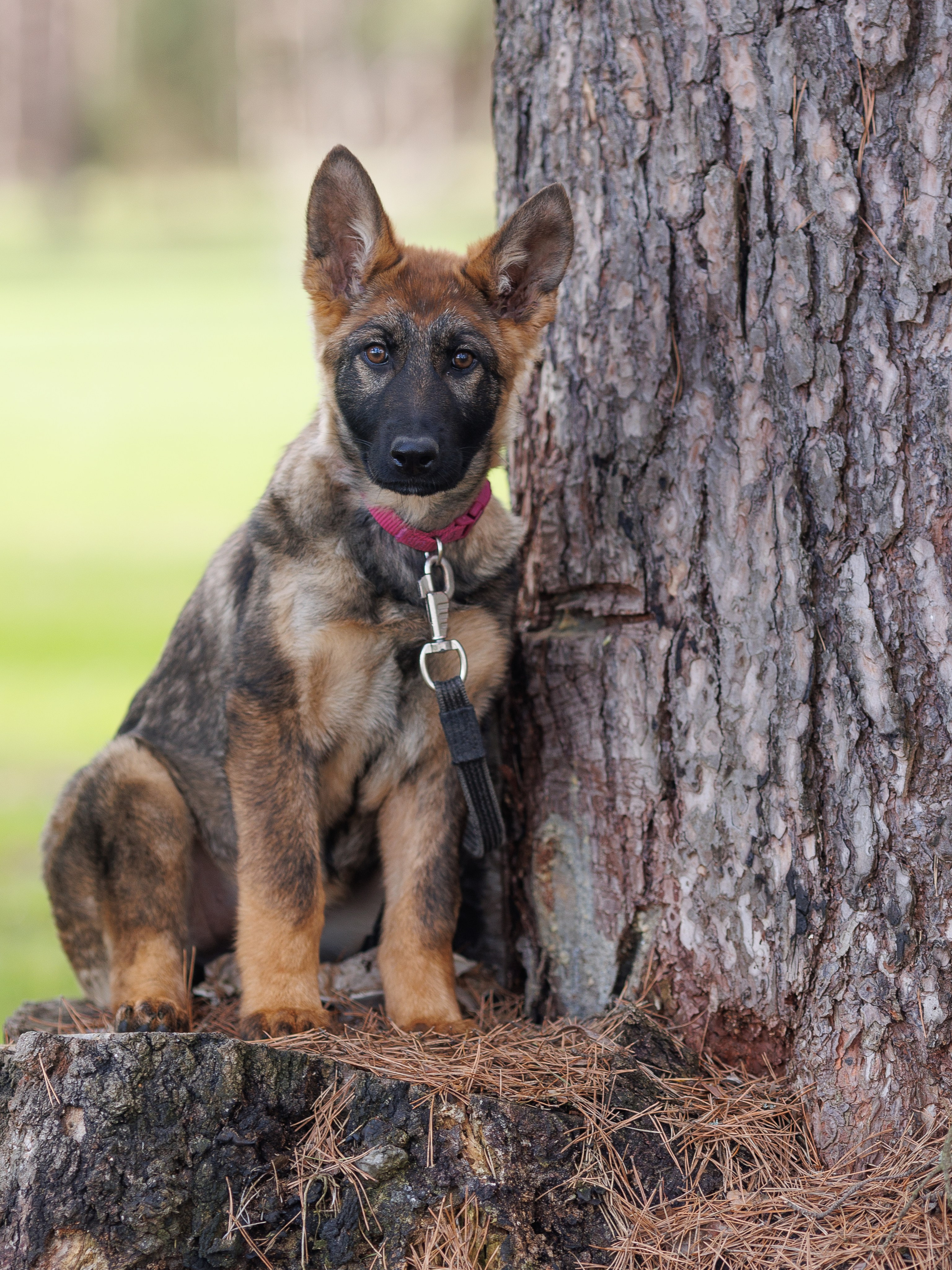 Репортажный фотограф Борис Геер