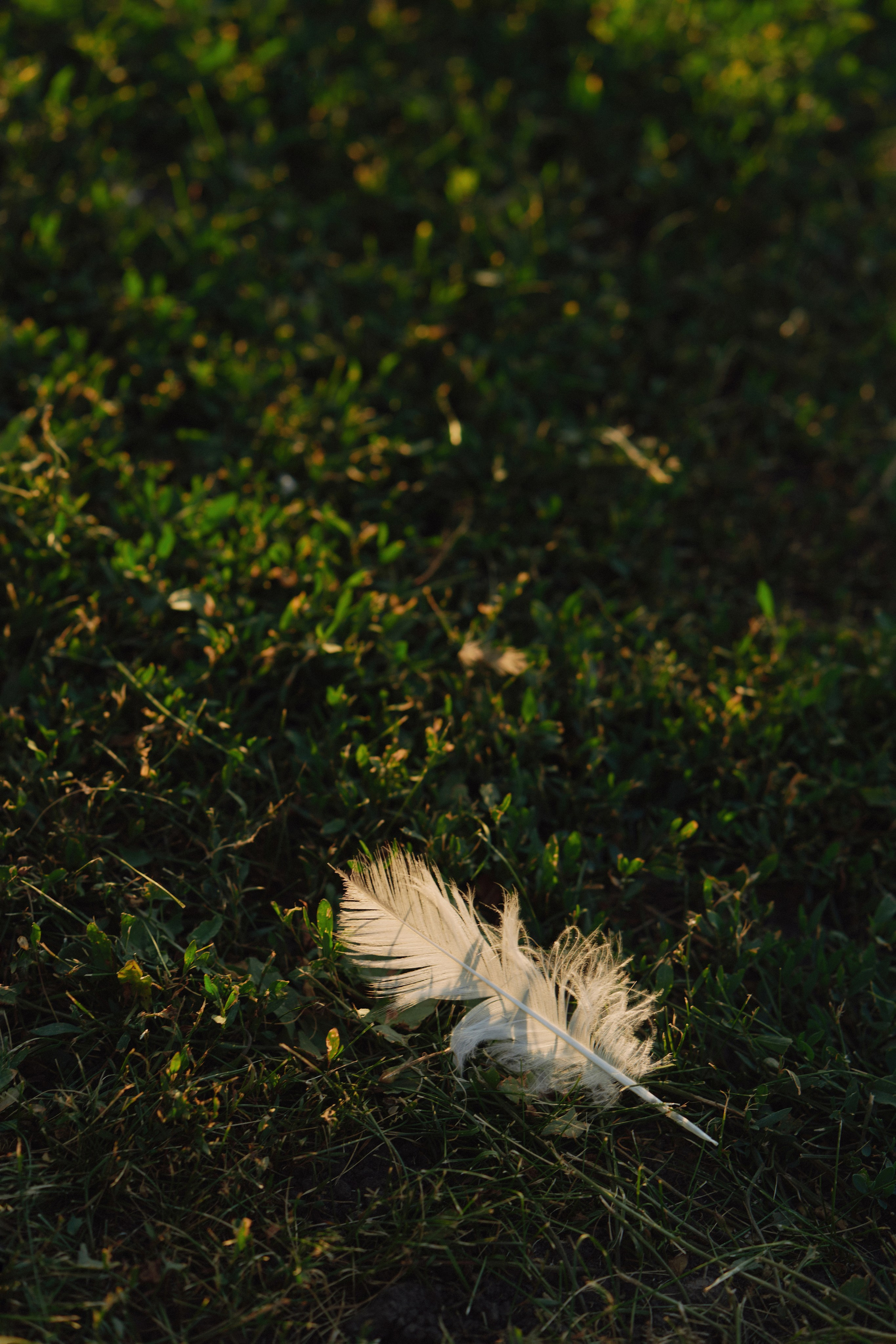 Сountry love. Свадебный фотограф в Ростовe-на-Дону Анастасия Прутова