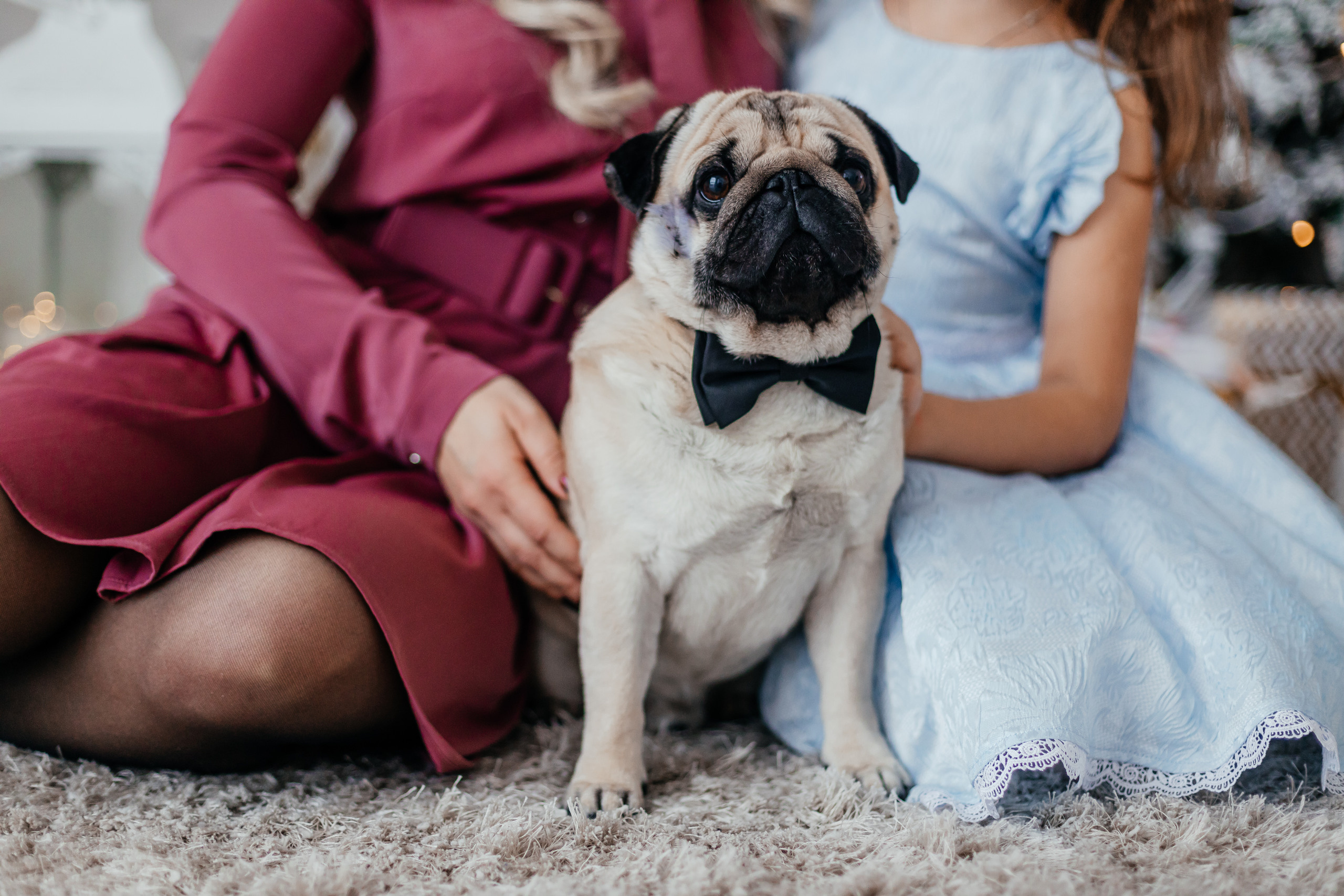 Мама, доча и ЧУБАККА ♥. Свадебный фотограф в Москве