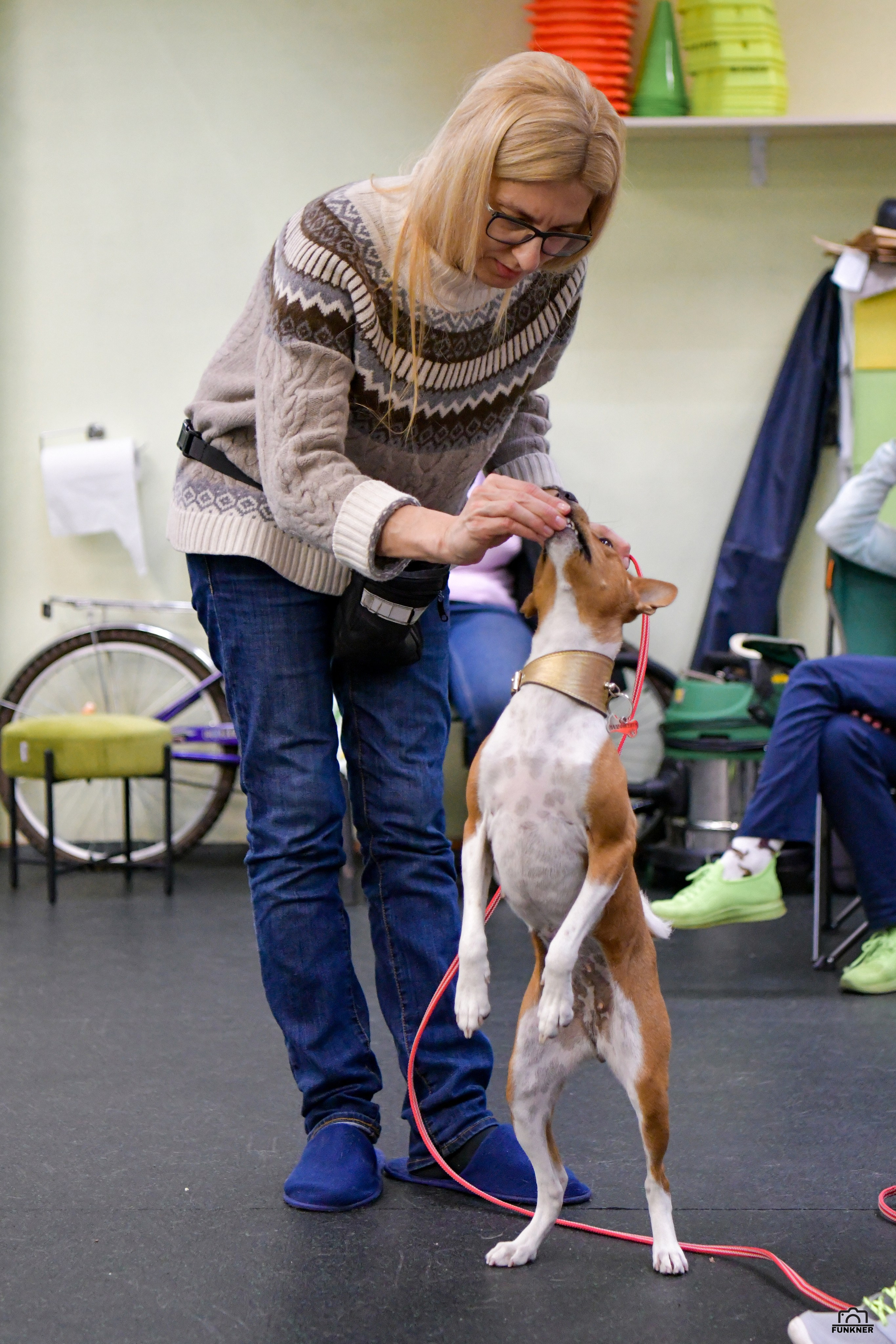 Кинологический клуб «Бодрый хвост». Свой взгляд через объектив