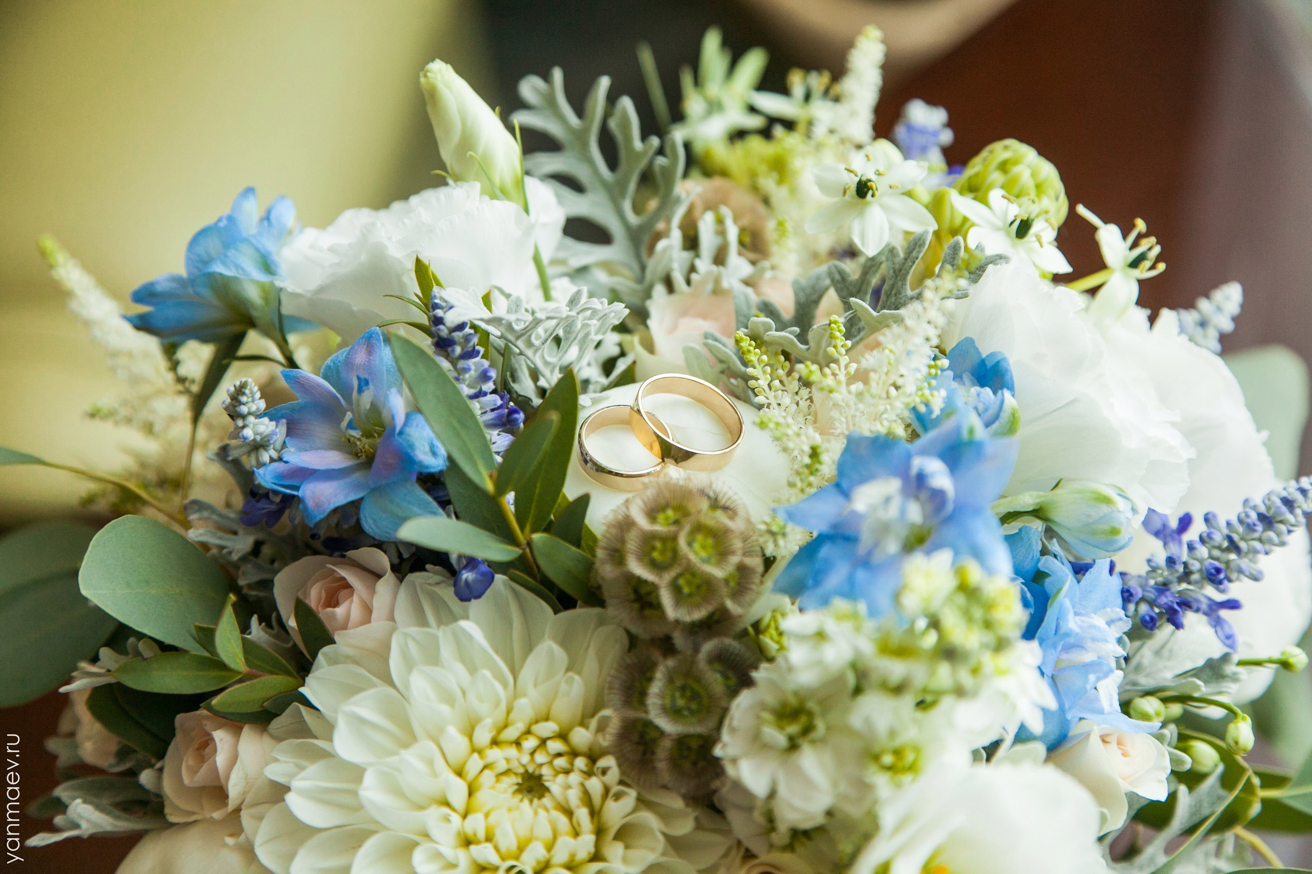 Небольшая свадьба в Ростове. Свадебная, репортажная и бизнес съёмка в Ростове-на-Дону