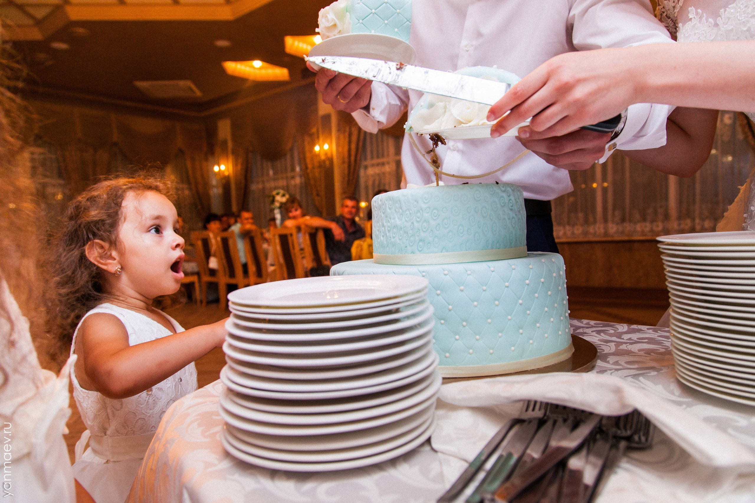 Небольшая свадьба в Ростове. Свадебная, репортажная и бизнес съёмка в Ростове-на-Дону