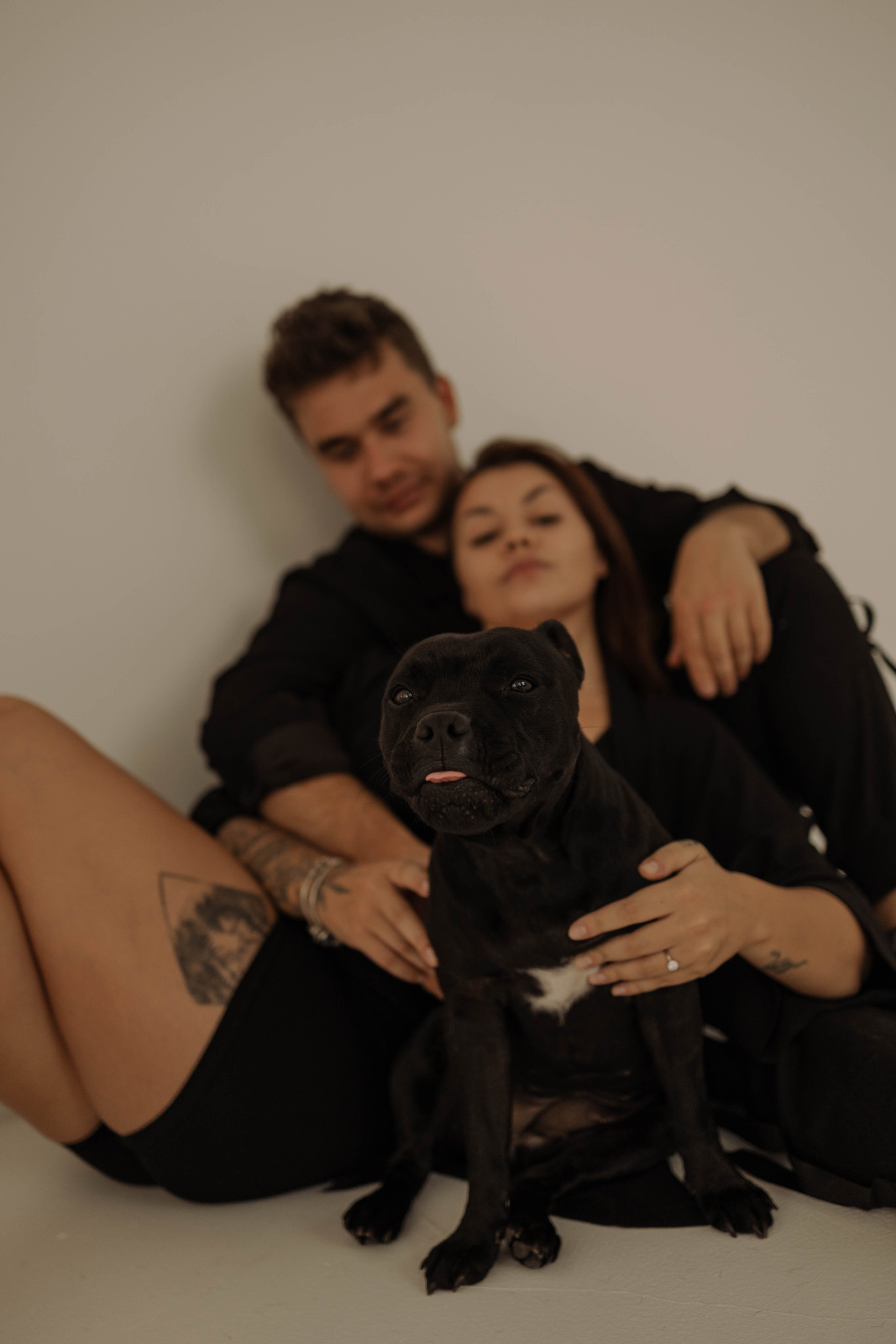 Фурия и ее семья. Фотограф-анималист в Екатеринбурге | Кристина
