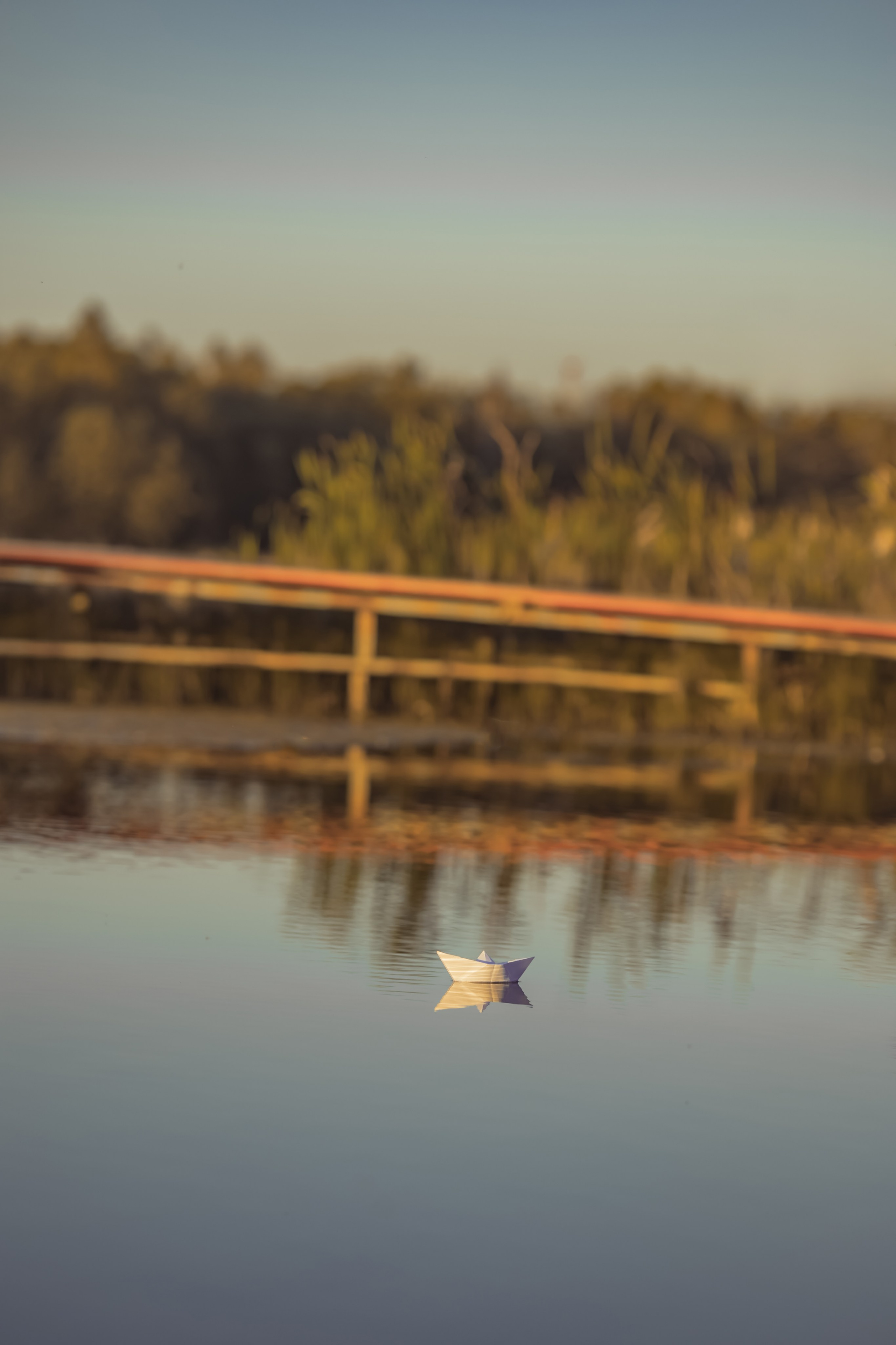 Роман и Матвей. Детский и семейный фотограф Евгения Вахнеева Москва Зеленоград