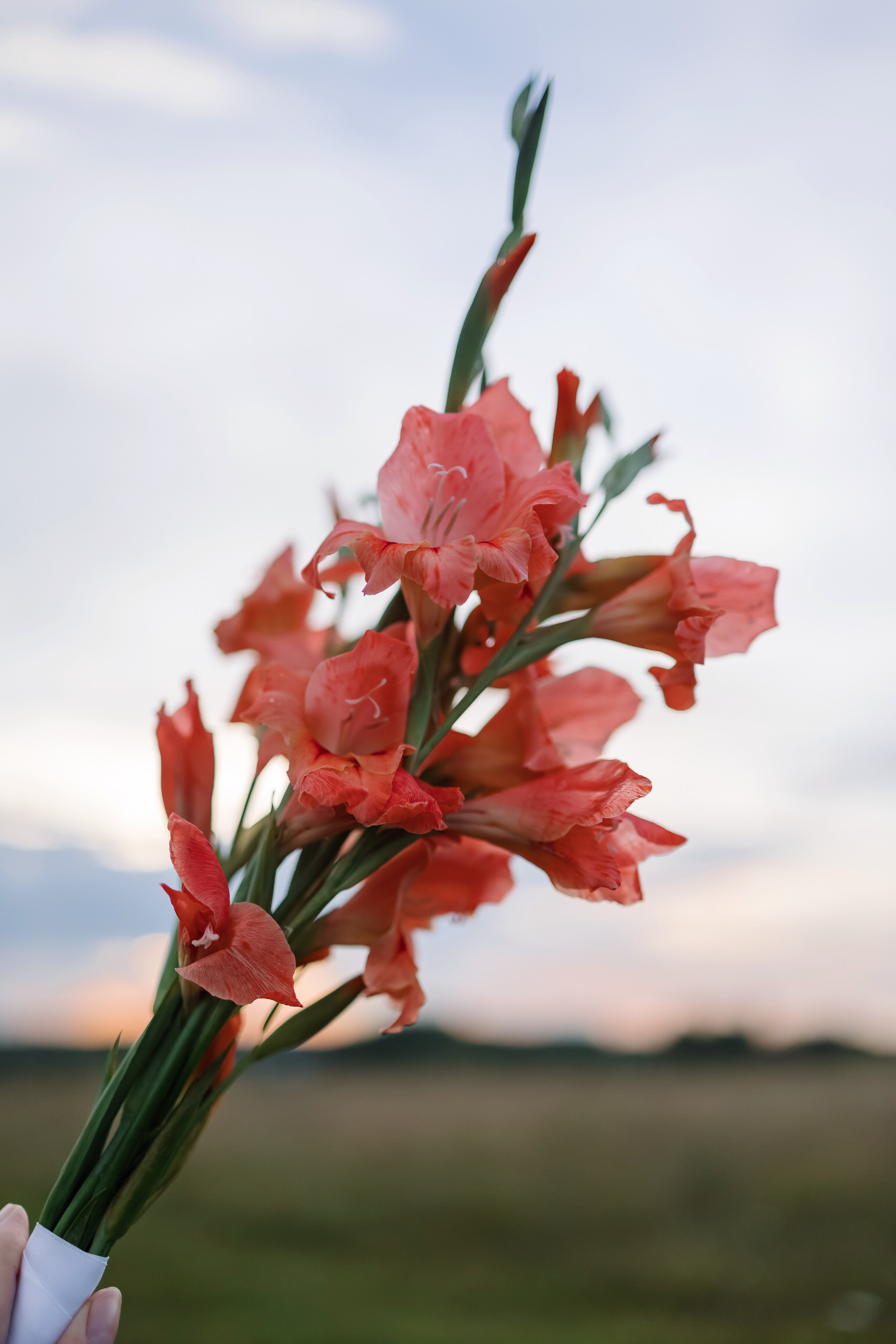 Русалина. Свадебный фотограф