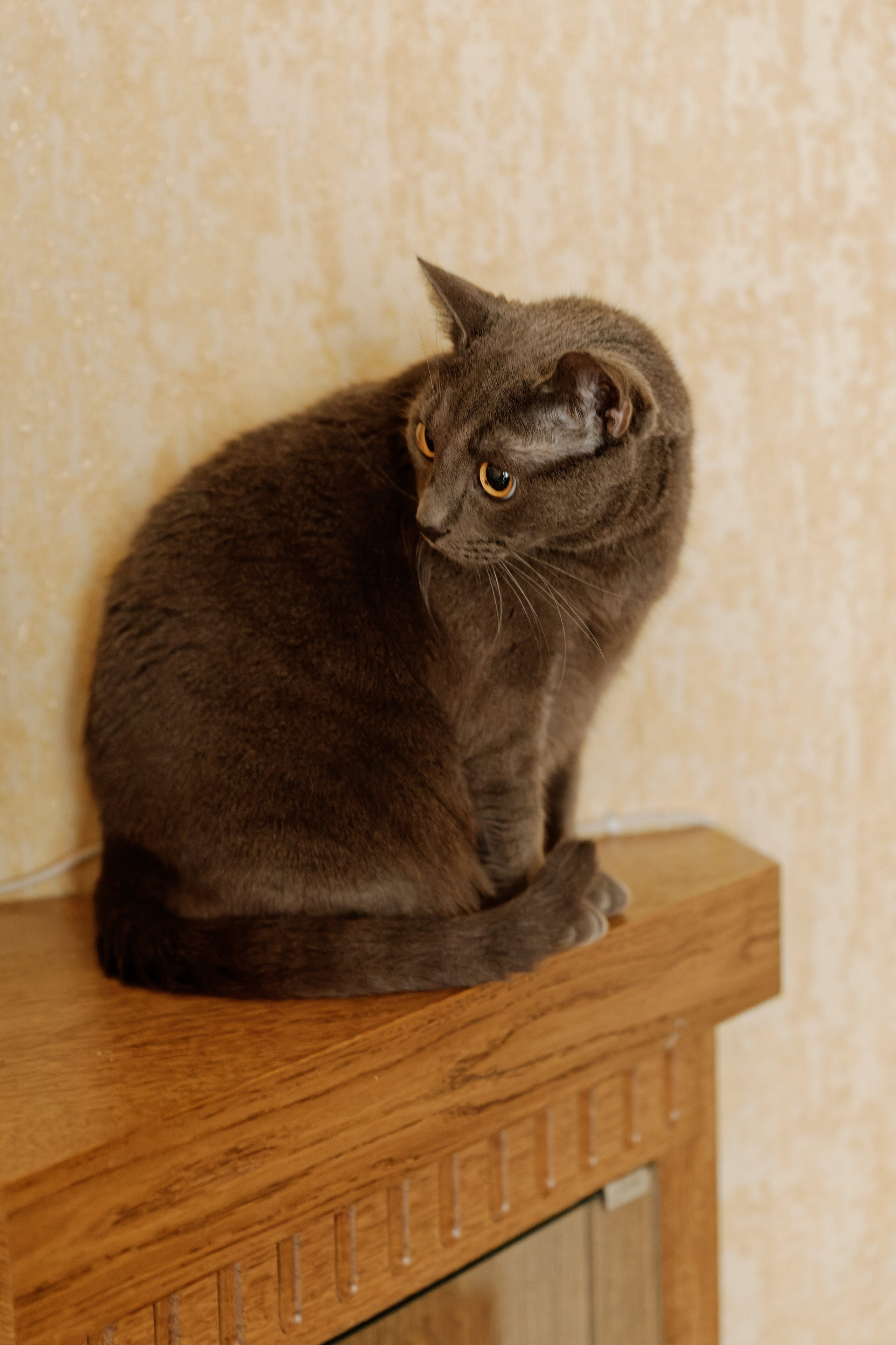 Кирилл и Екатерина. Видеограф Павел Борисов | Москва | СПБ | Брянск