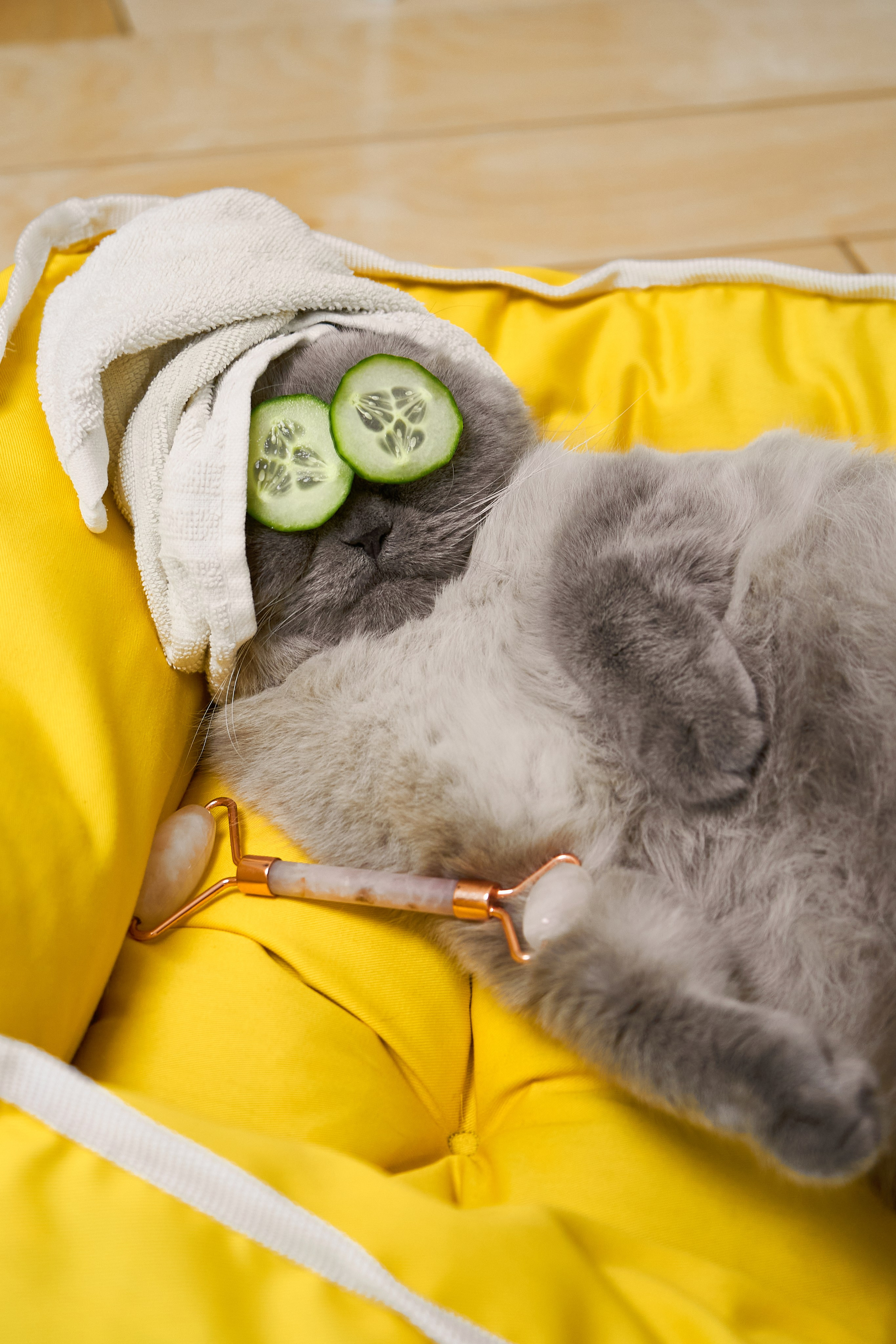 Вещь добра. Фотограф для брендов и маркетплейсов Екатеринбург Екатерина Дроздова