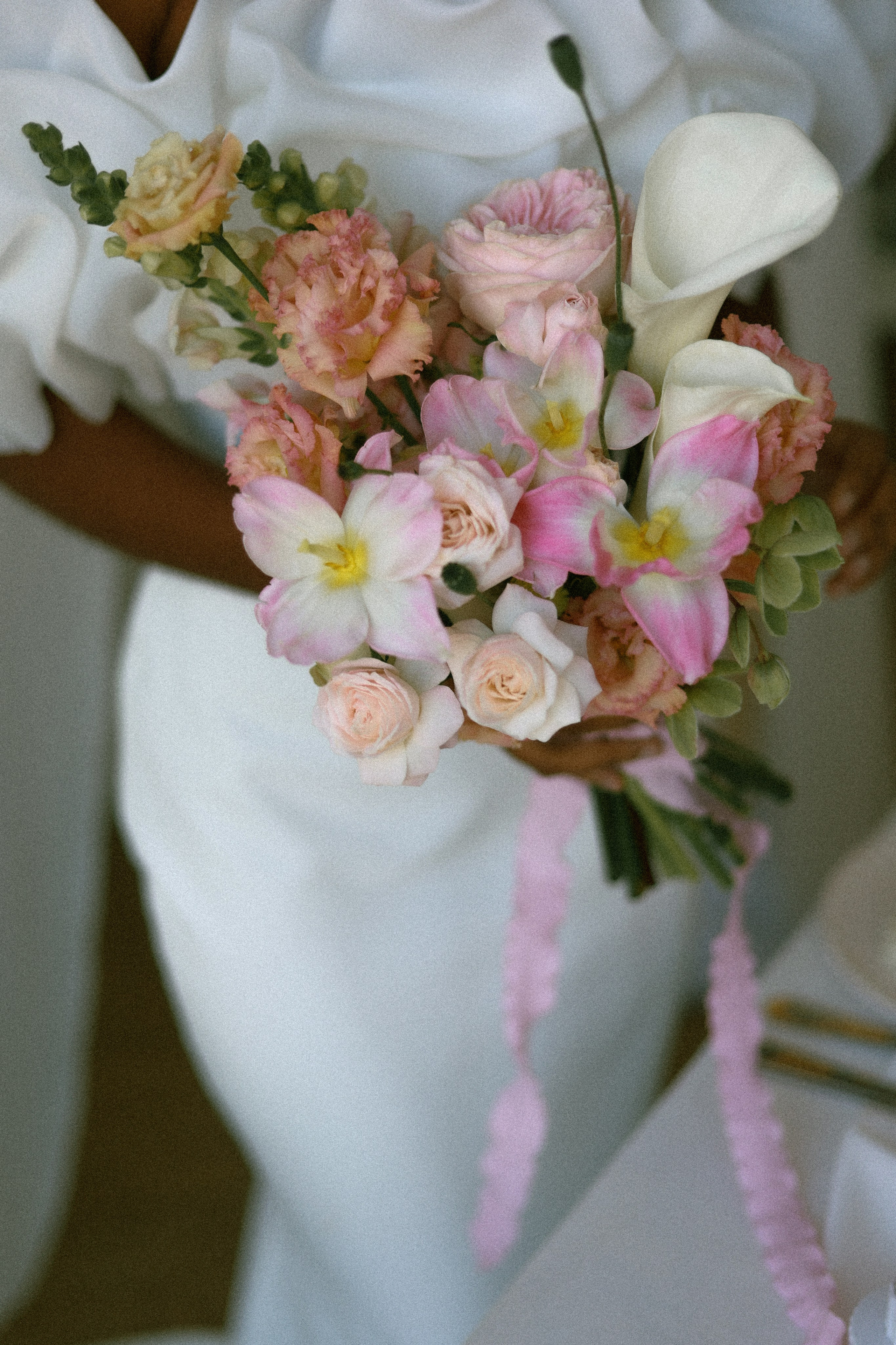 Молли. Фотограф НатаФото (Наталья Яковенко) Дмитров Москва Питер