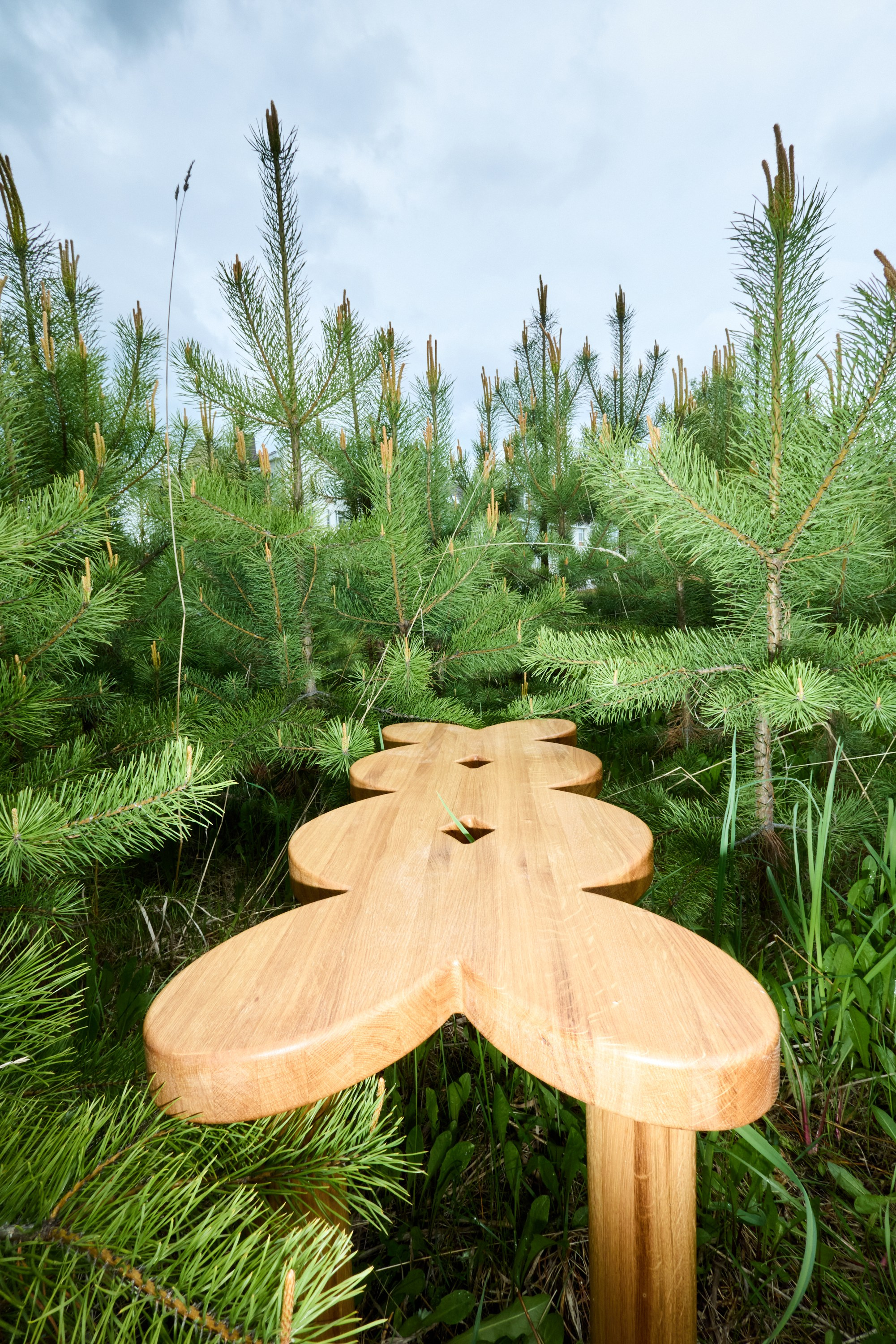 ANNKI STUDIO. Sasha Lapin